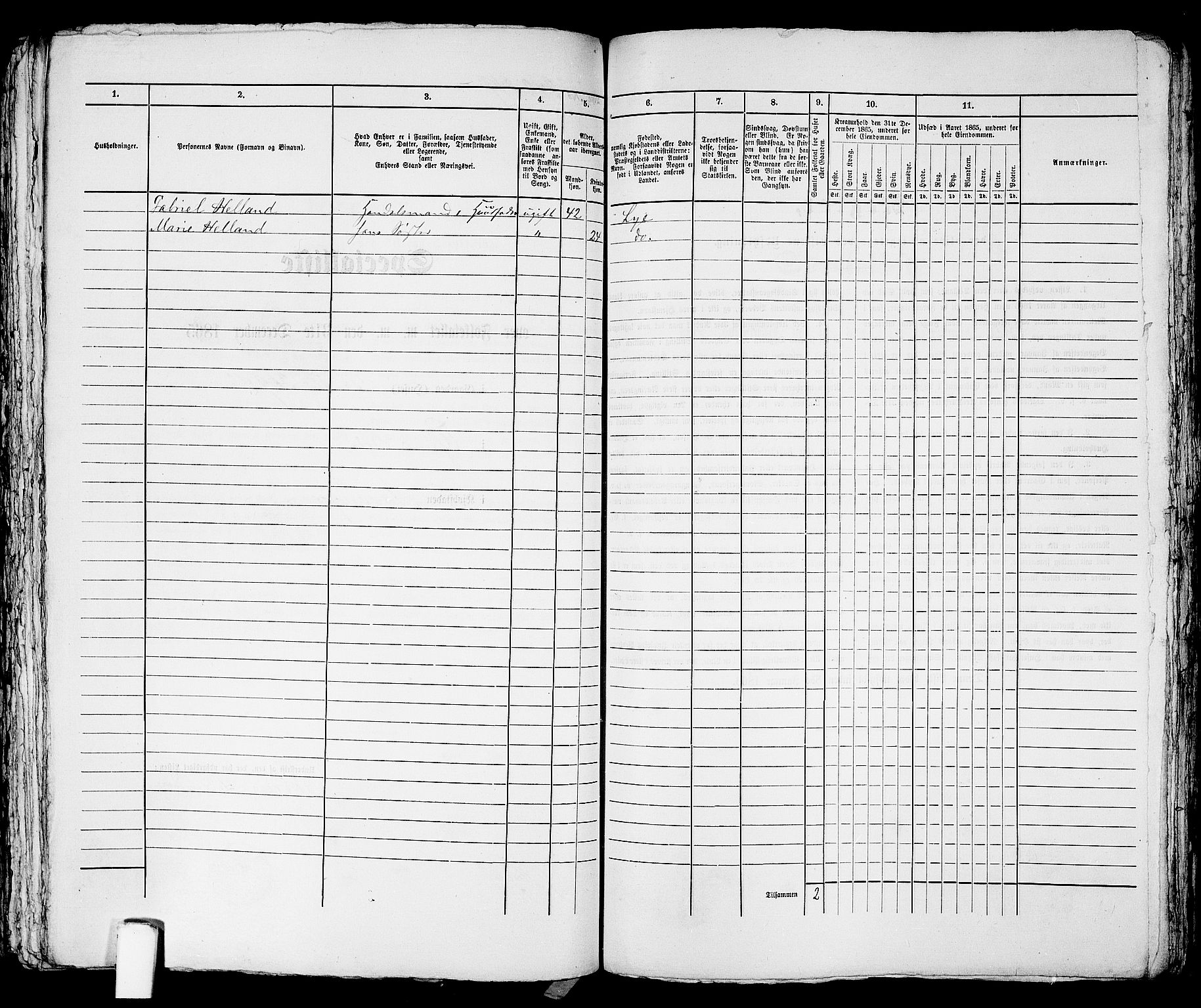 RA, 1865 census for Stavanger, 1865, p. 1732