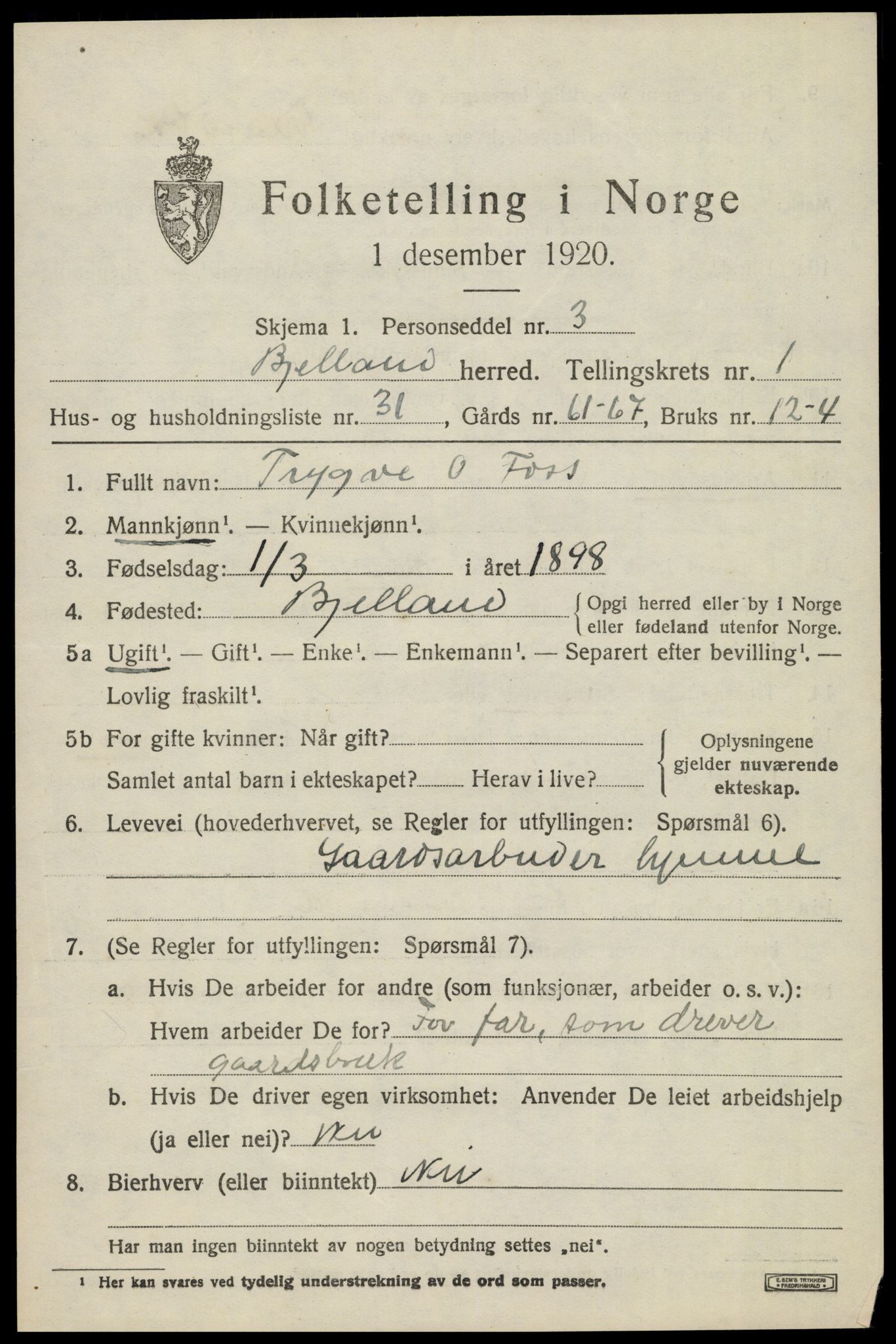 SAK, 1920 census for Bjelland, 1920, p. 699