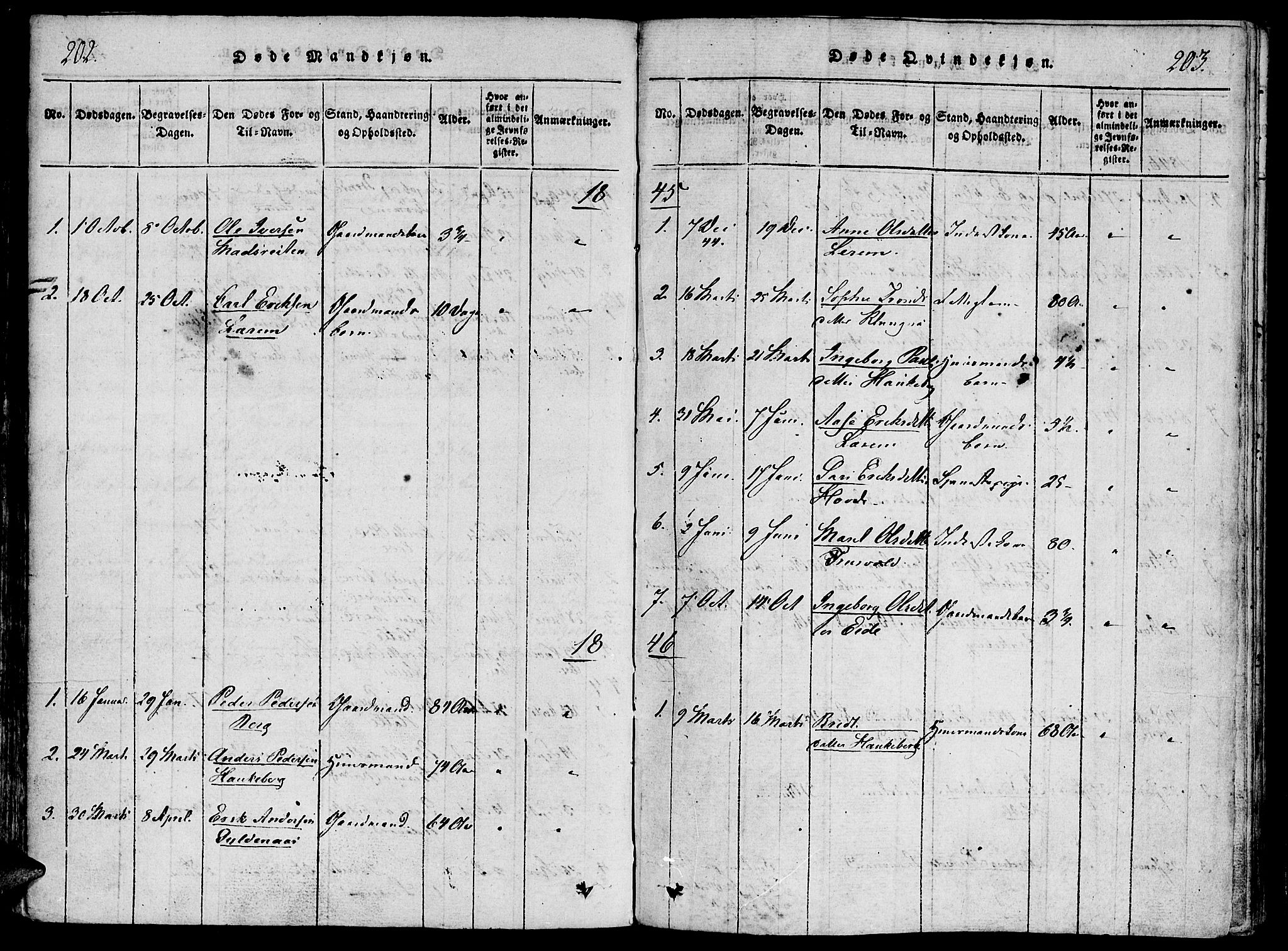 Ministerialprotokoller, klokkerbøker og fødselsregistre - Møre og Romsdal, AV/SAT-A-1454/542/L0551: Parish register (official) no. 542A01, 1818-1853, p. 202-203