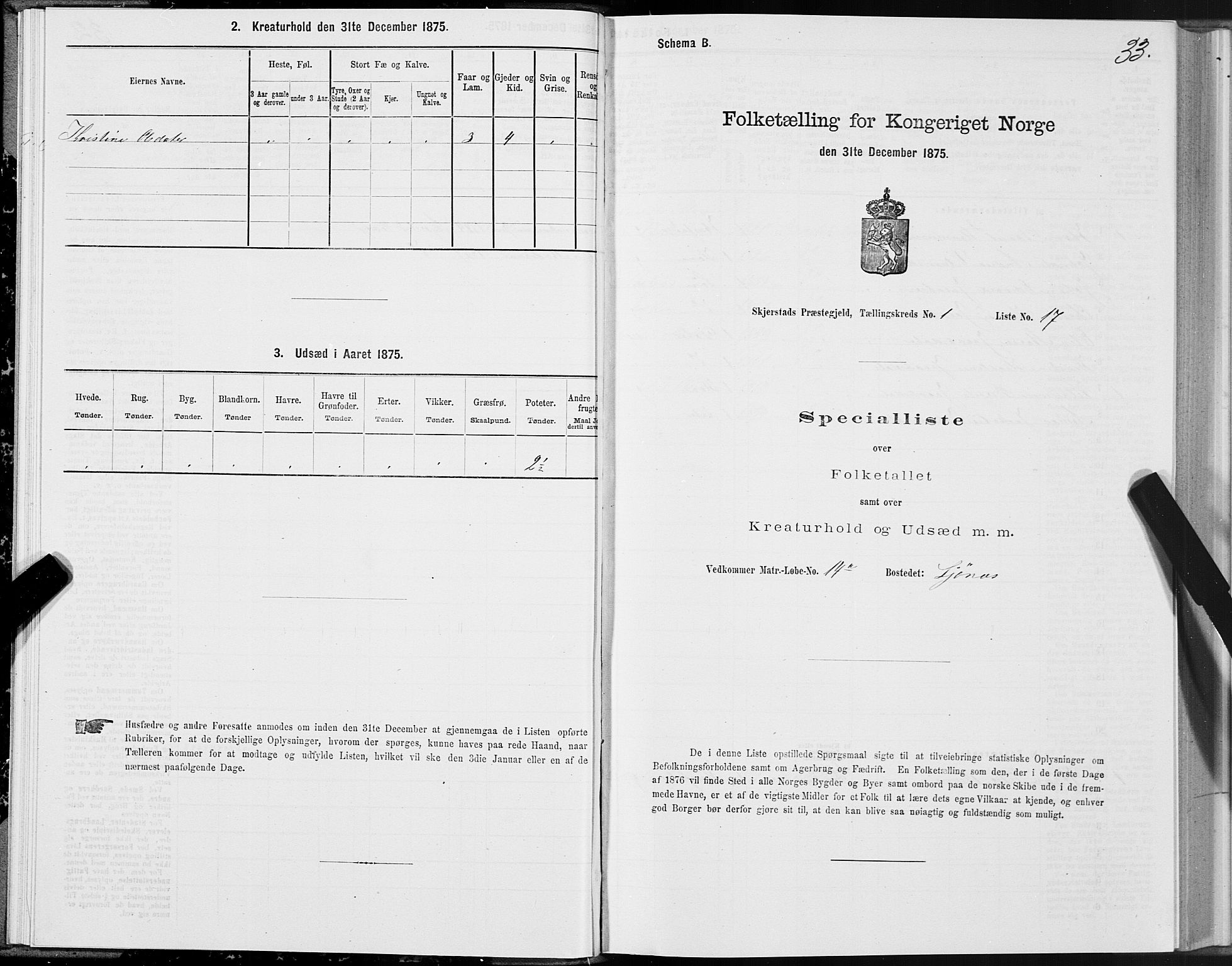 SAT, 1875 census for 1842P Skjerstad, 1875, p. 1033