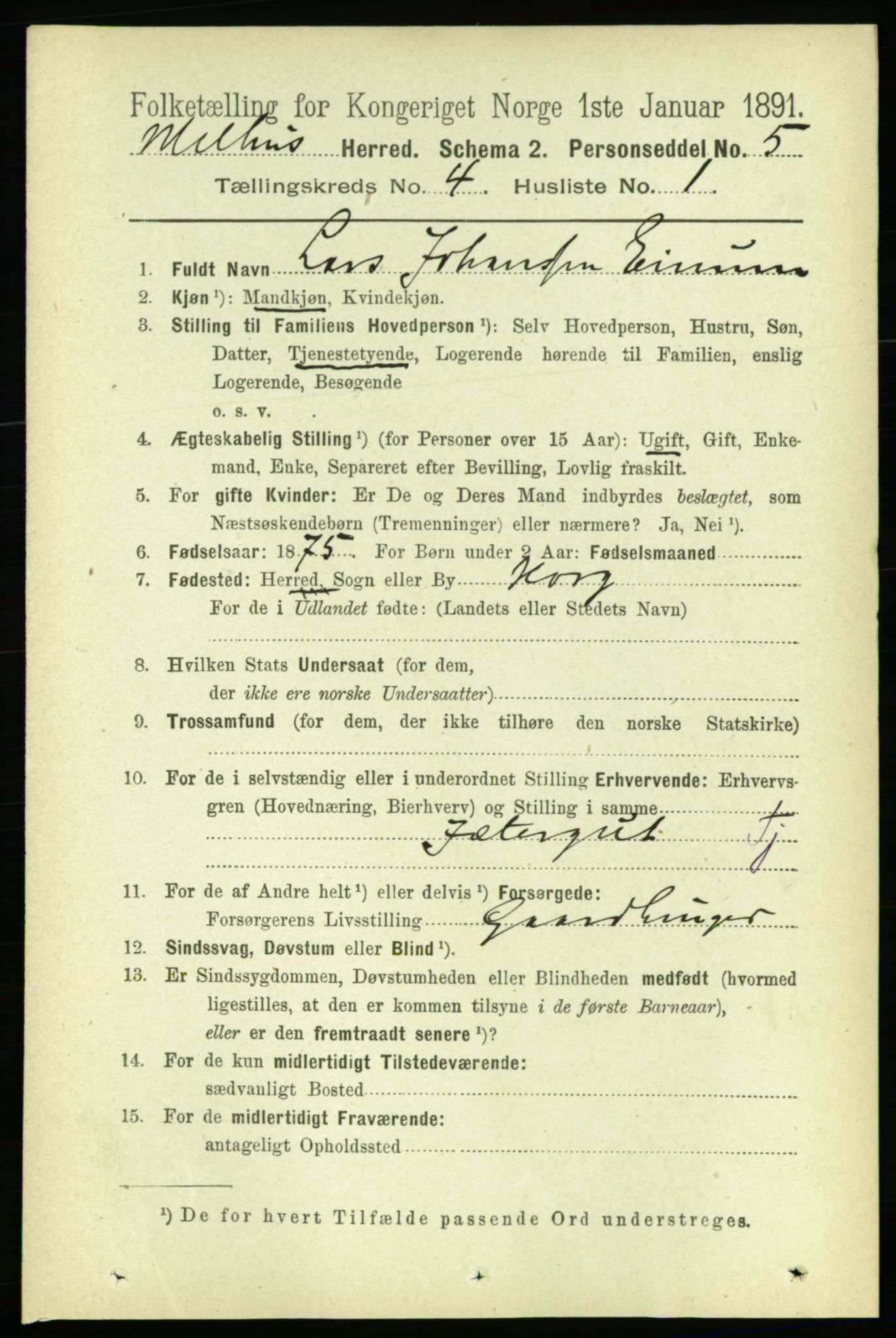 RA, 1891 census for 1653 Melhus, 1891, p. 1981