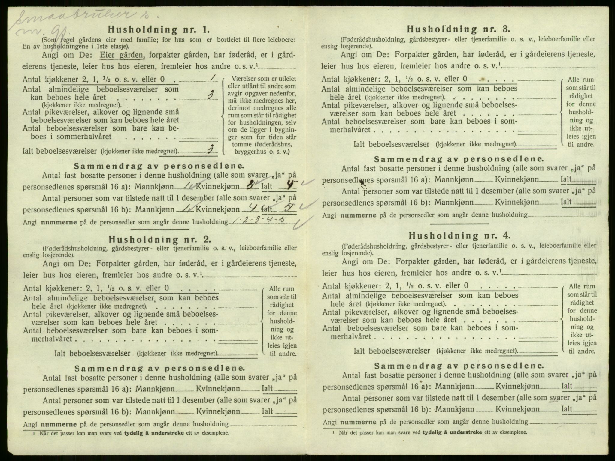 SAKO, 1920 census for Strømm, 1920, p. 231