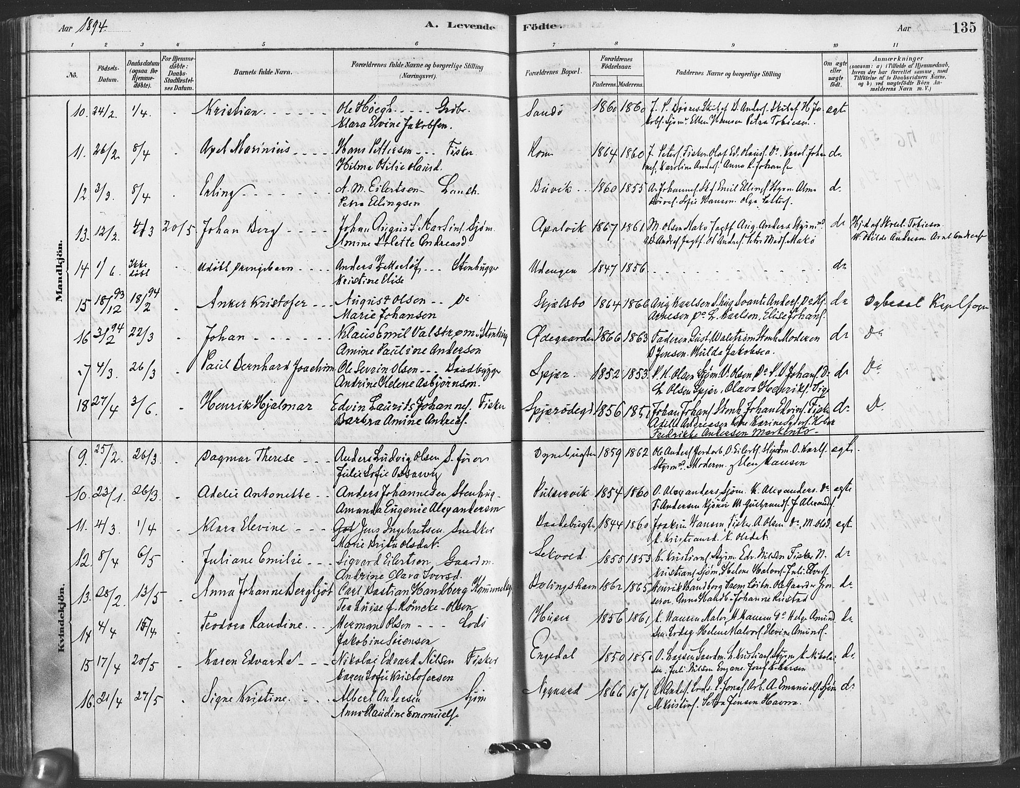 Hvaler prestekontor Kirkebøker, AV/SAO-A-2001/F/Fa/L0008: Parish register (official) no. I 8, 1878-1895, p. 135