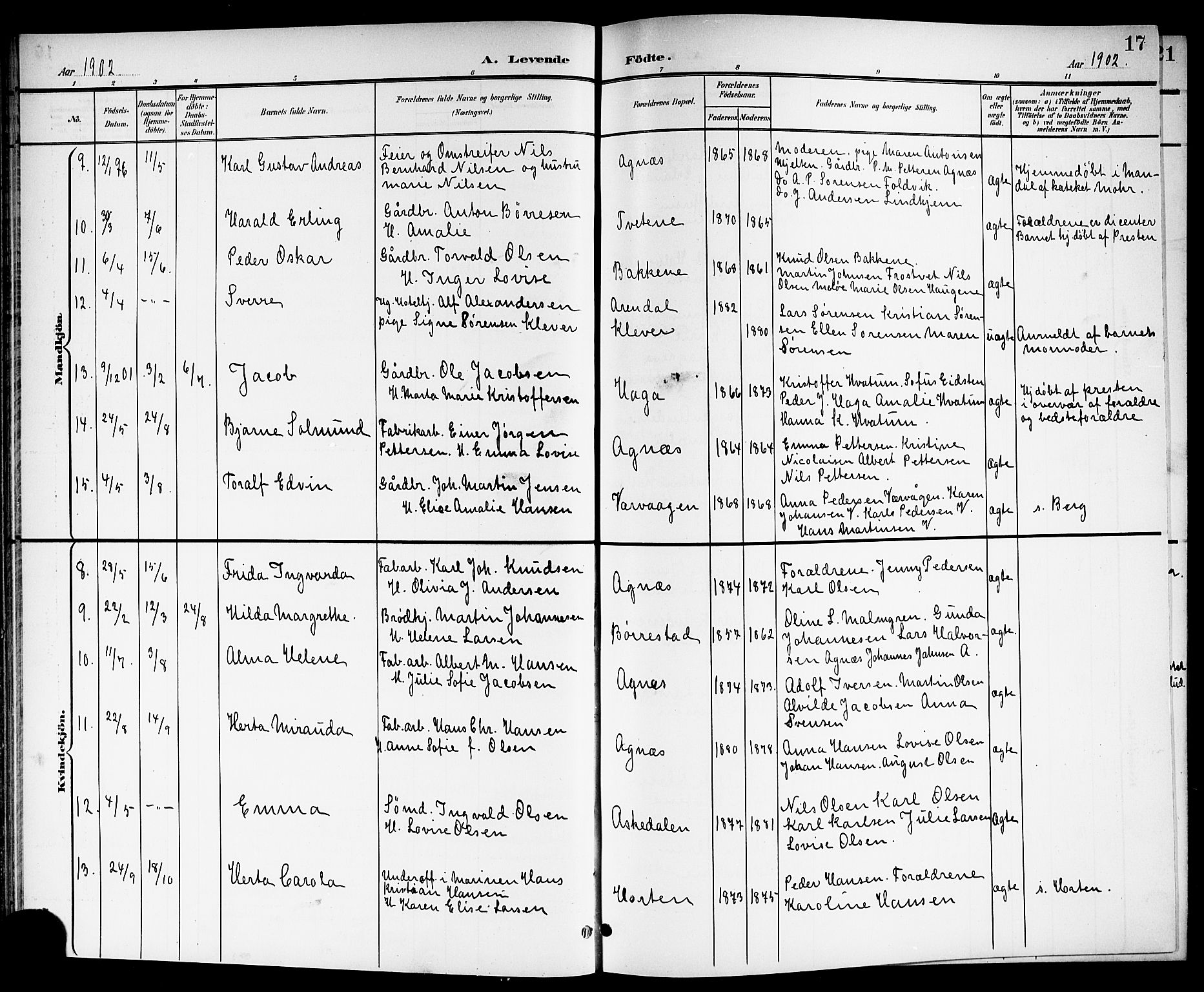 Brunlanes kirkebøker, AV/SAKO-A-342/G/Ga/L0004: Parish register (copy) no. I 4, 1898-1921, p. 17