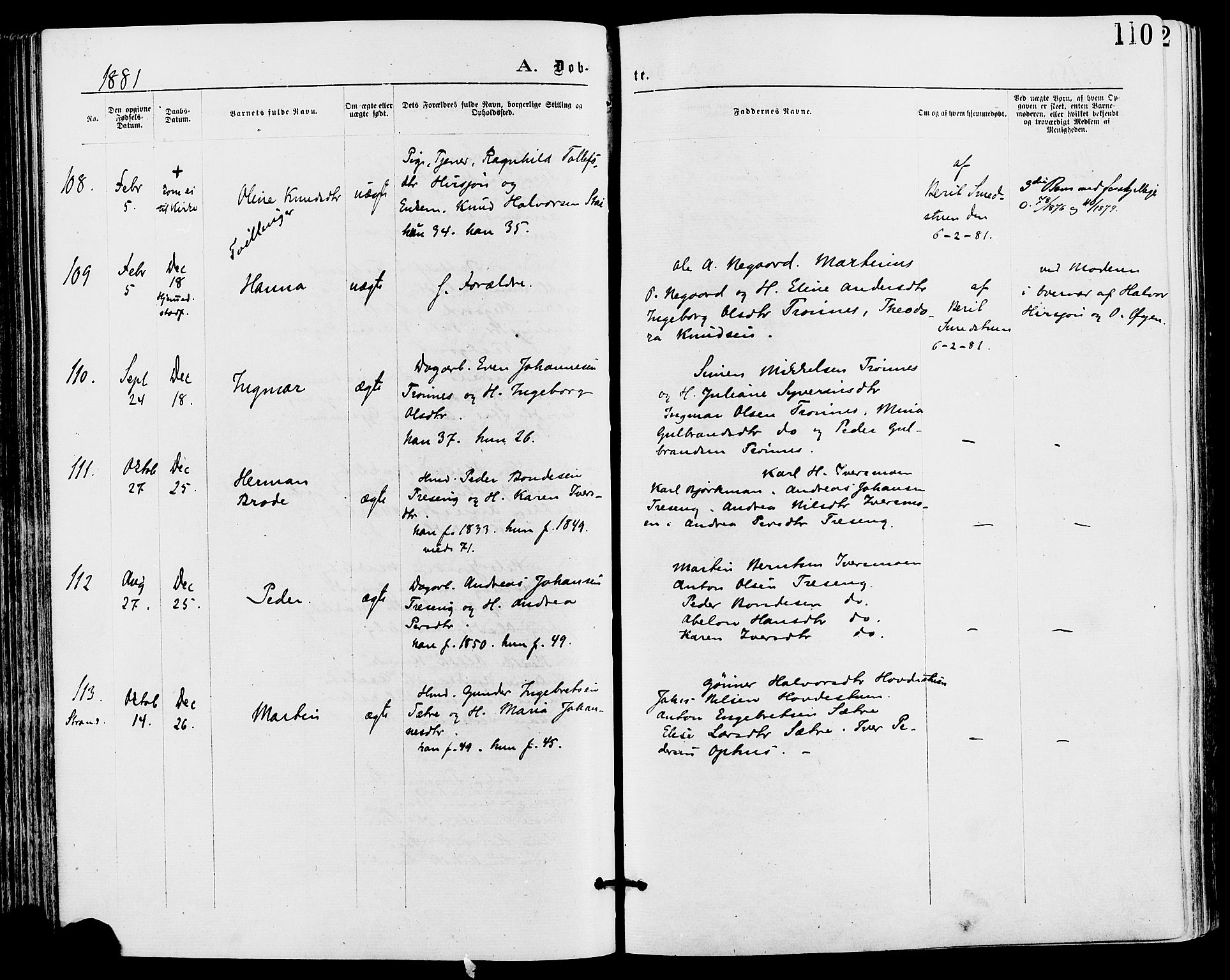 Stor-Elvdal prestekontor, AV/SAH-PREST-052/H/Ha/Haa/L0001: Parish register (official) no. 1, 1871-1882, p. 110