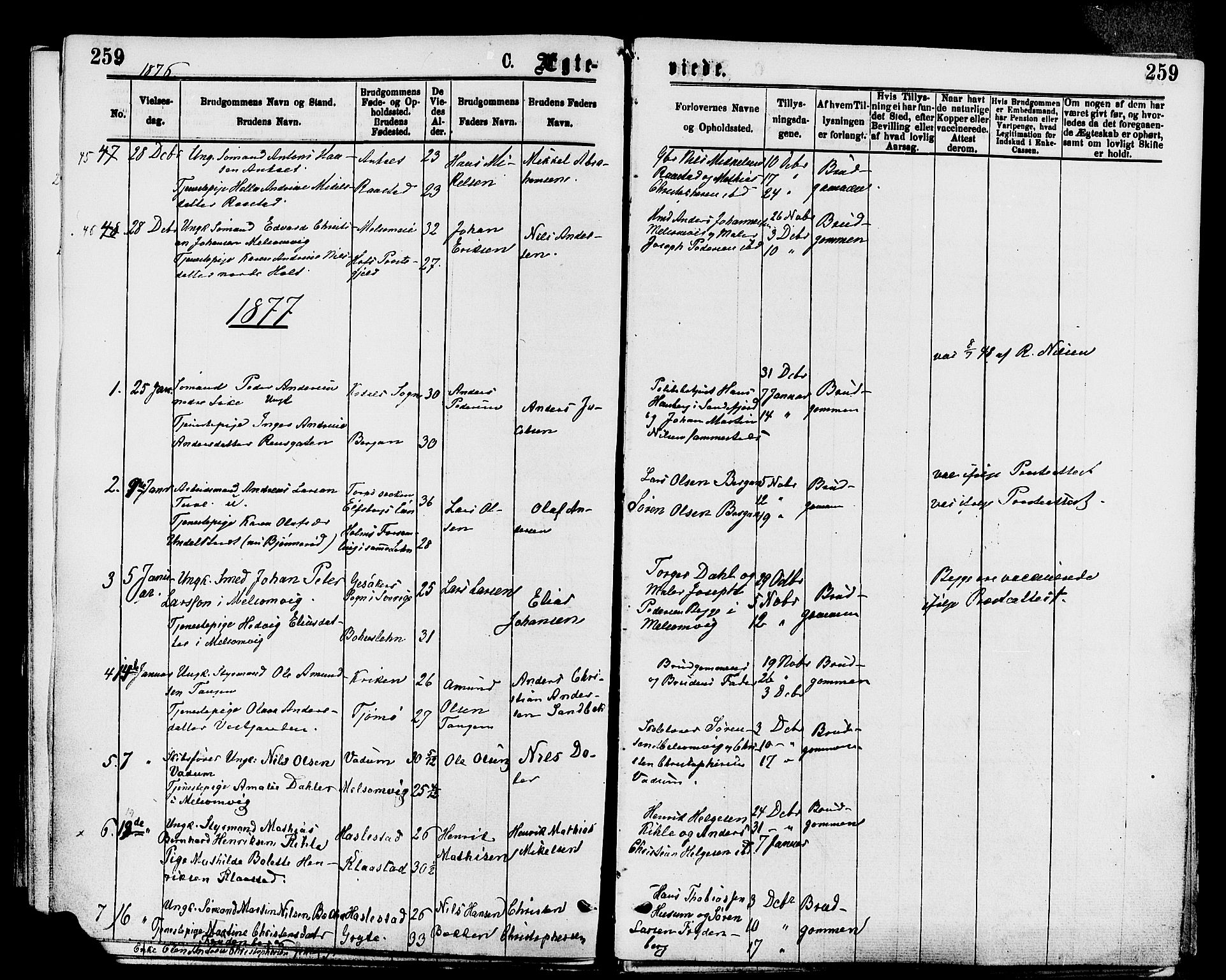 Stokke kirkebøker, AV/SAKO-A-320/F/Fa/L0009: Parish register (official) no. I 9, 1872-1883, p. 259