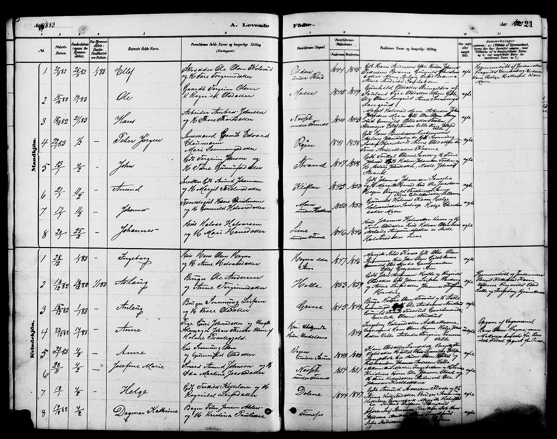 Heddal kirkebøker, SAKO/A-268/G/Ga/L0002: Parish register (copy) no. I 2, 1879-1908, p. 21