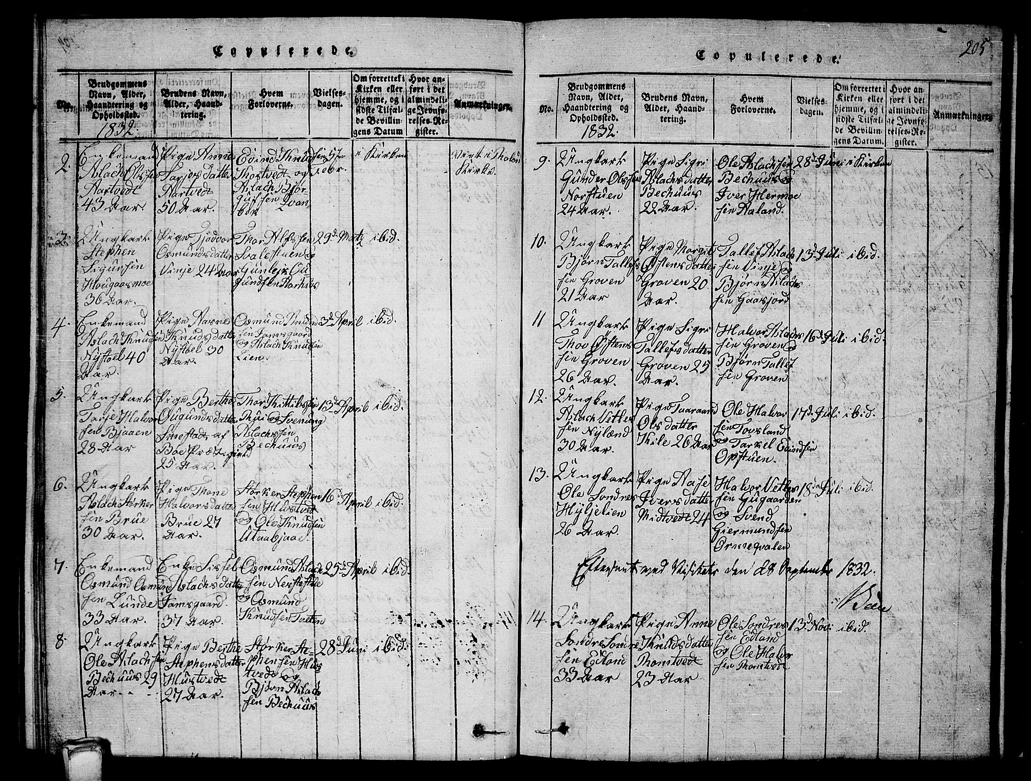 Vinje kirkebøker, AV/SAKO-A-312/G/Ga/L0001: Parish register (copy) no. I 1, 1814-1843, p. 205