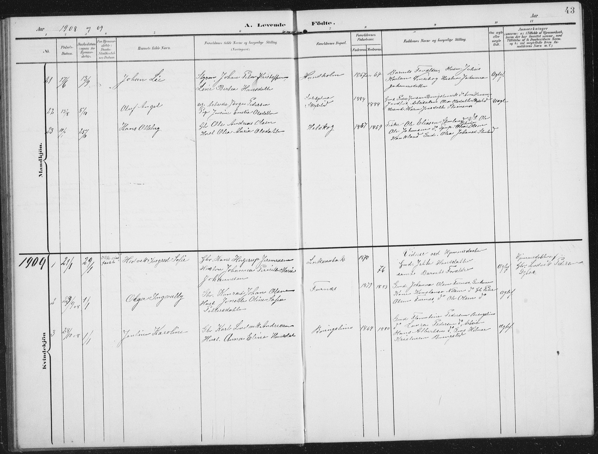 Ministerialprotokoller, klokkerbøker og fødselsregistre - Nordland, AV/SAT-A-1459/851/L0726: Parish register (copy) no. 851C01, 1902-1924, p. 43