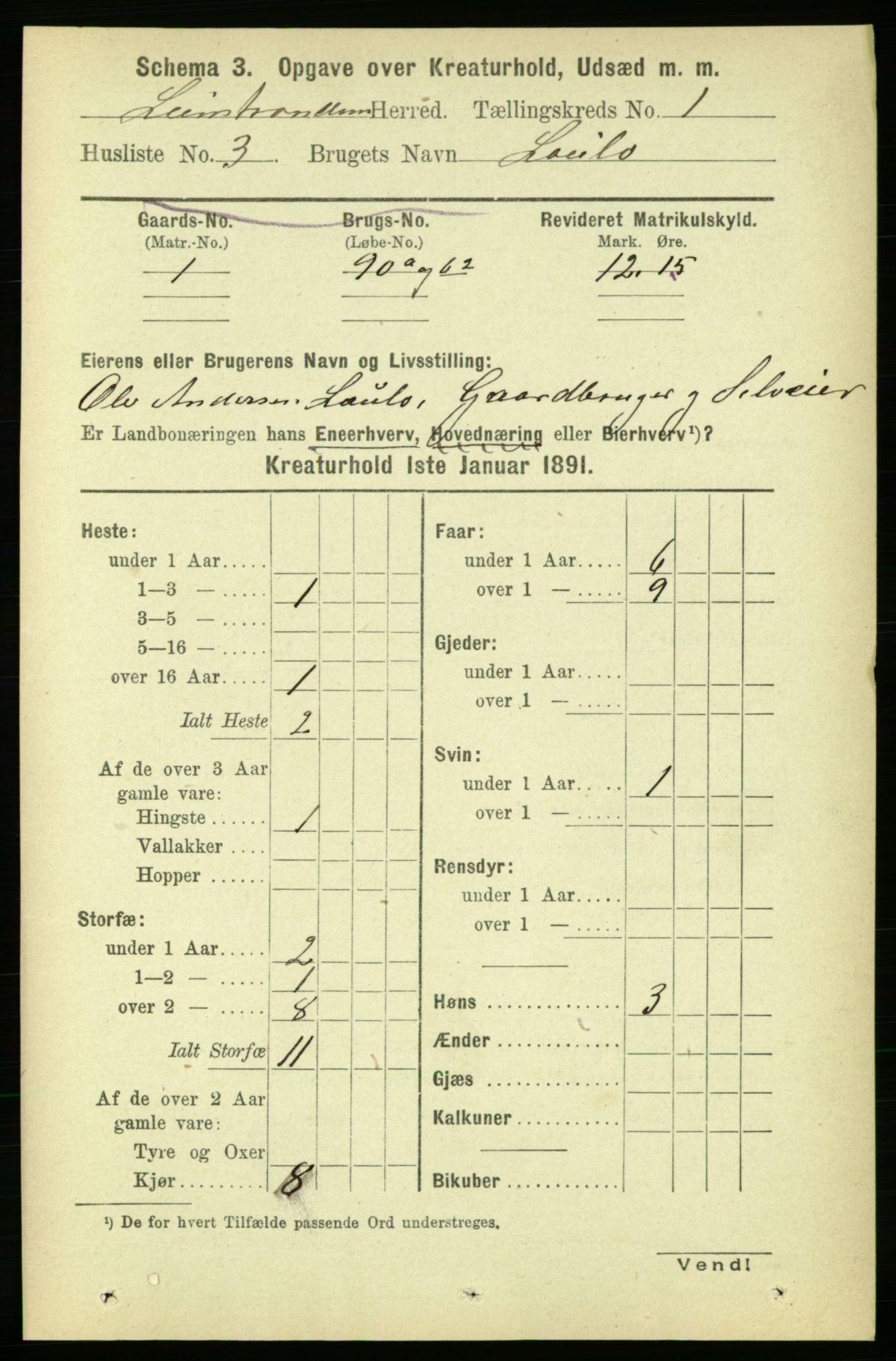 RA, 1891 census for 1654 Leinstrand, 1891, p. 1413