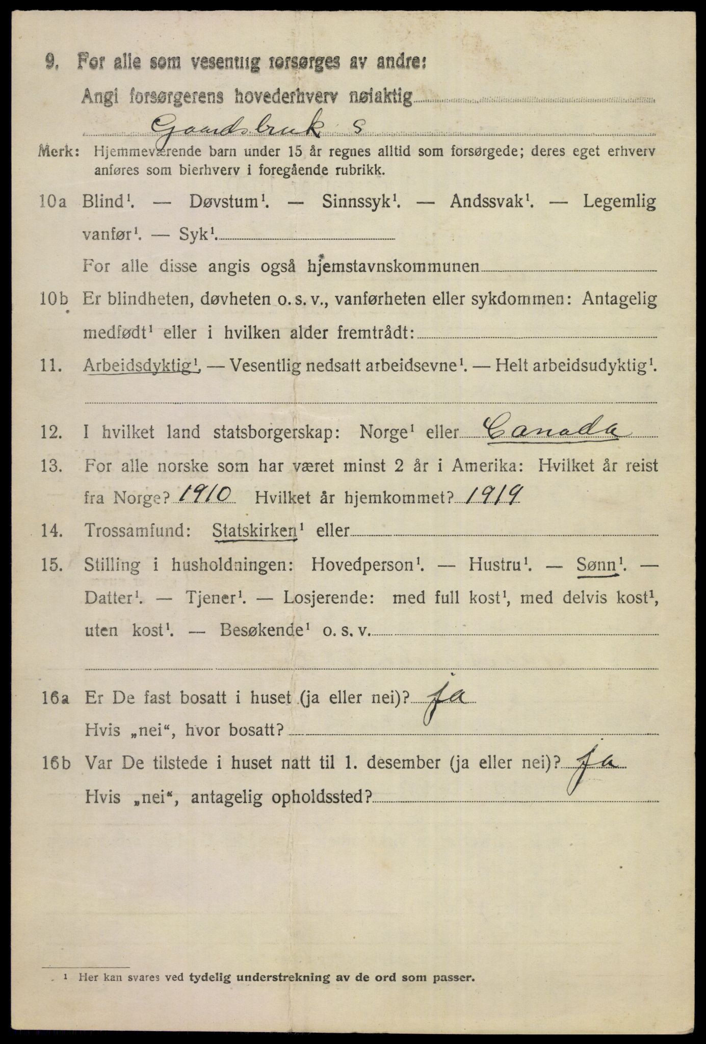 SAKO, 1920 census for Ål, 1920, p. 8071