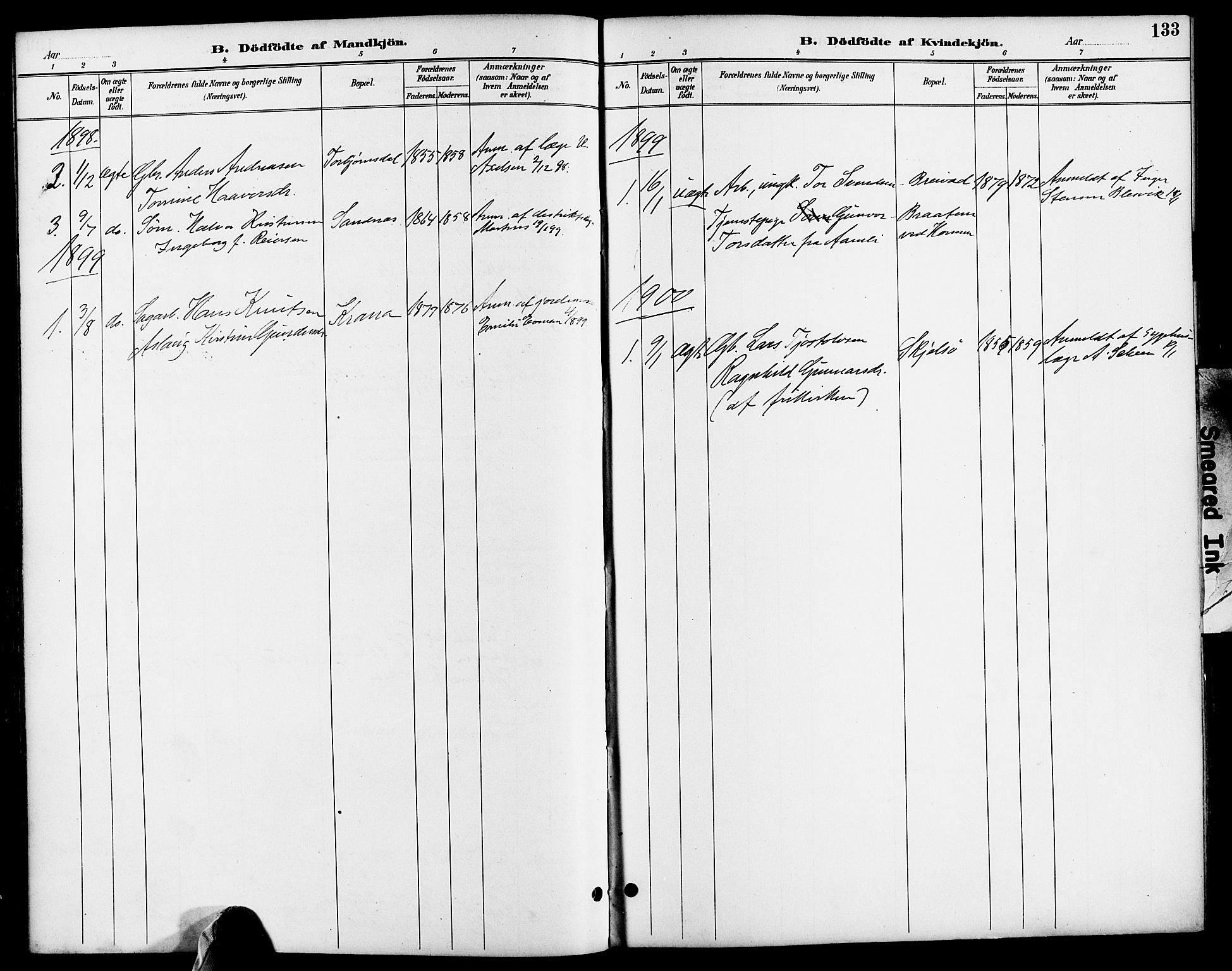 Søndeled sokneprestkontor, AV/SAK-1111-0038/F/Fa/L0005: Parish register (official) no. A 5, 1889-1899, p. 133