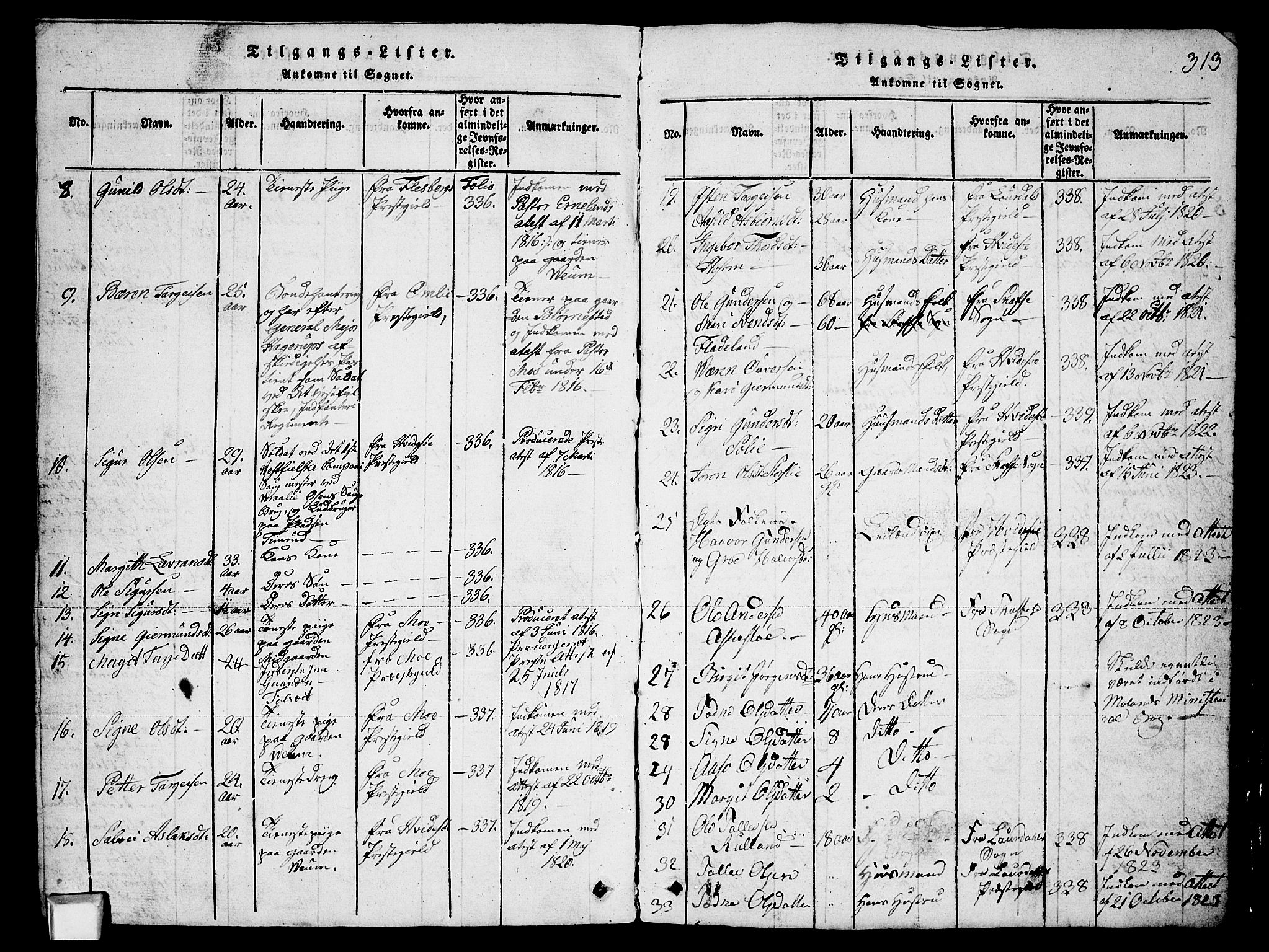 Fyresdal kirkebøker, SAKO/A-263/G/Ga/L0003: Parish register (copy) no. I 3, 1815-1863, p. 313