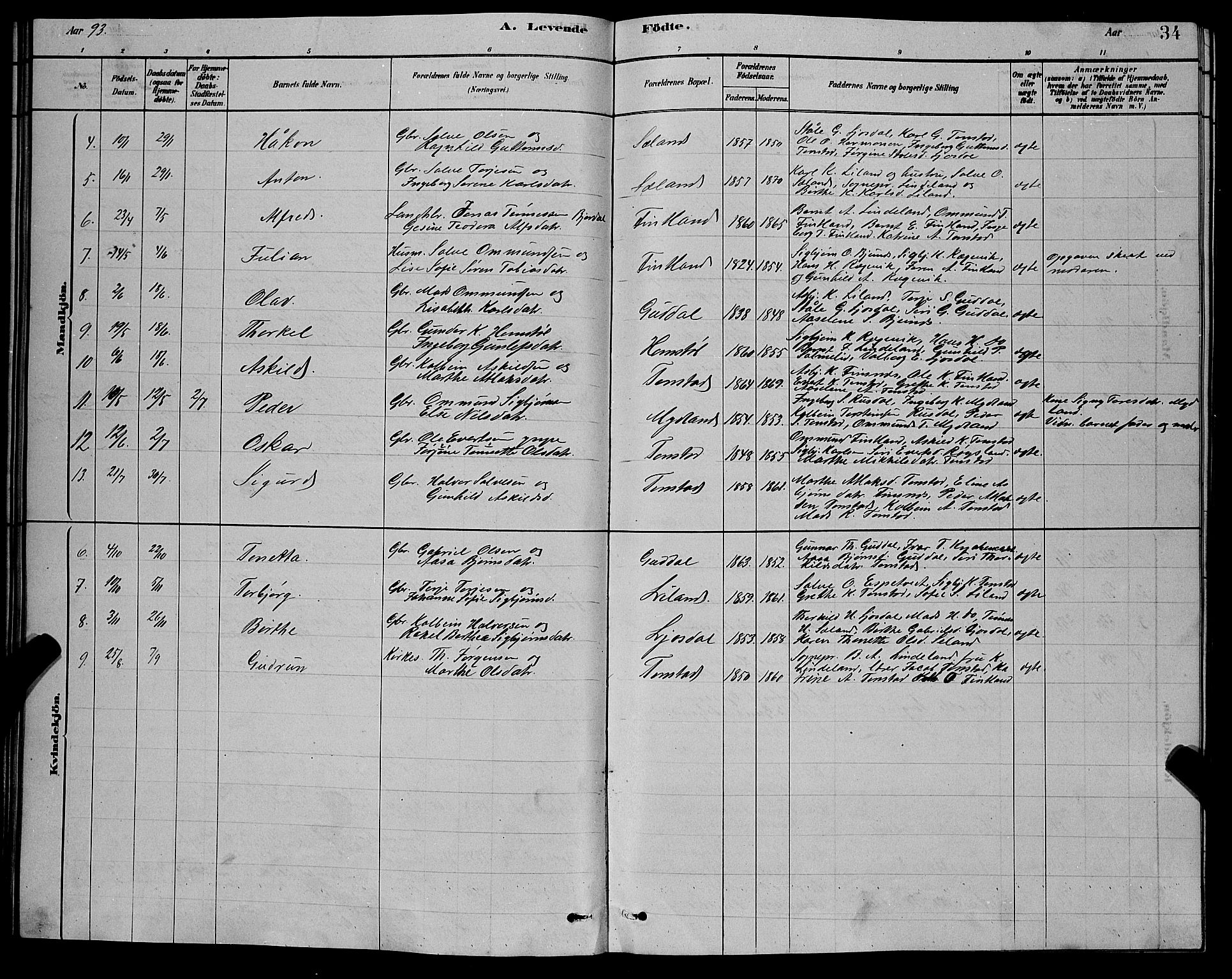 Sirdal sokneprestkontor, AV/SAK-1111-0036/F/Fb/Fbb/L0003: Parish register (copy) no. B 3, 1878-1894, p. 34