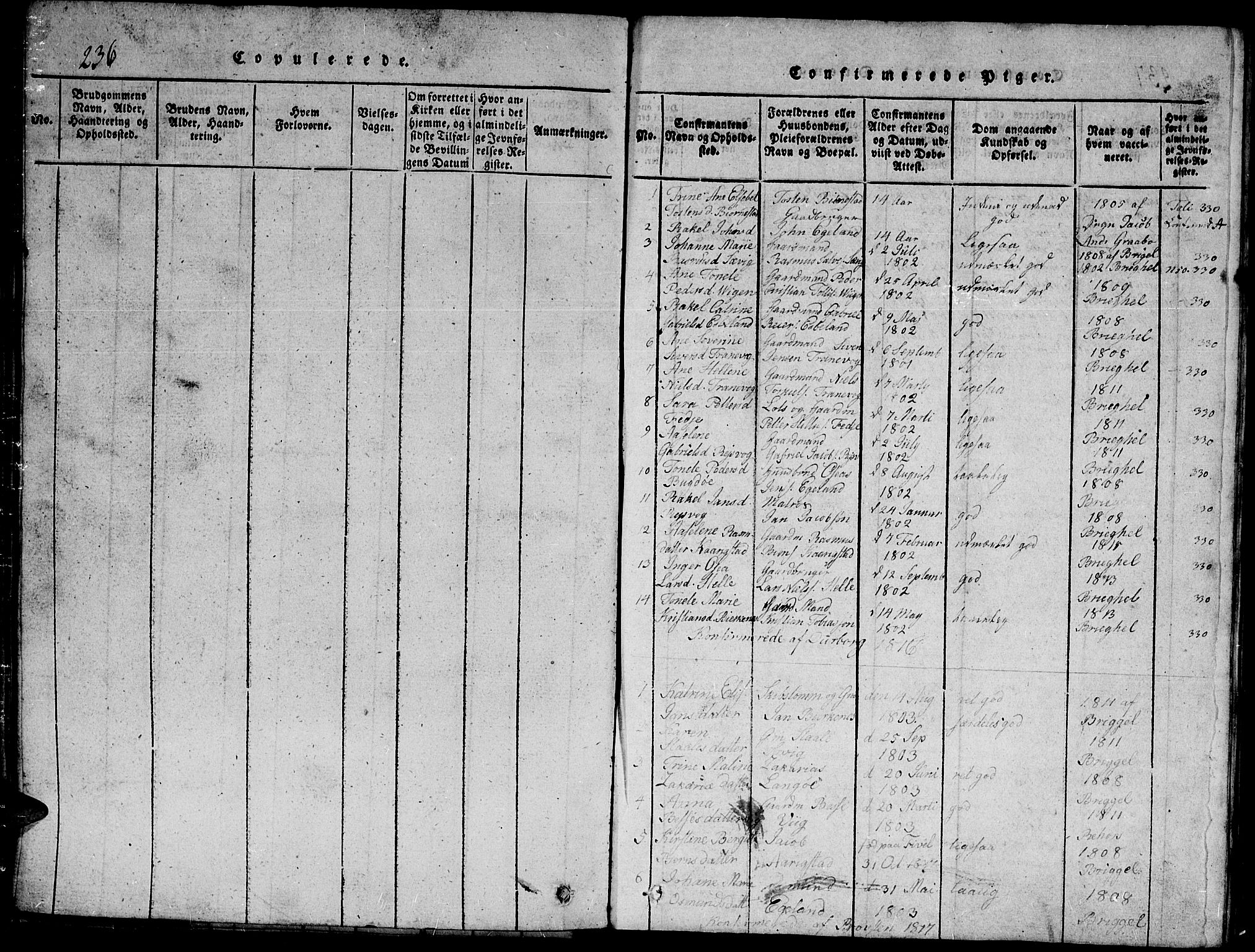 Herad sokneprestkontor, SAK/1111-0018/F/Fb/Fbb/L0001: Parish register (copy) no. B 1, 1815-1852, p. 236