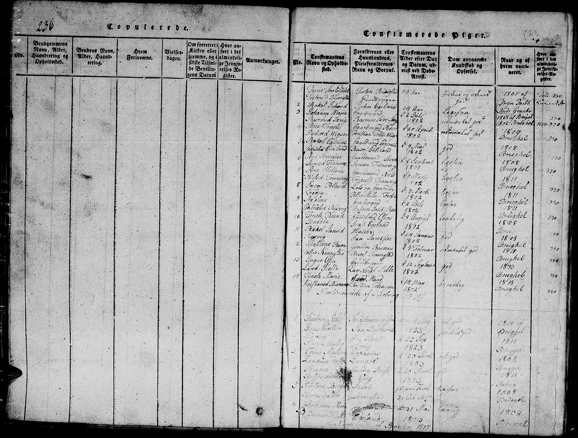 Herad sokneprestkontor, AV/SAK-1111-0018/F/Fb/Fbb/L0001: Parish register (copy) no. B 1, 1815-1852, p. 236