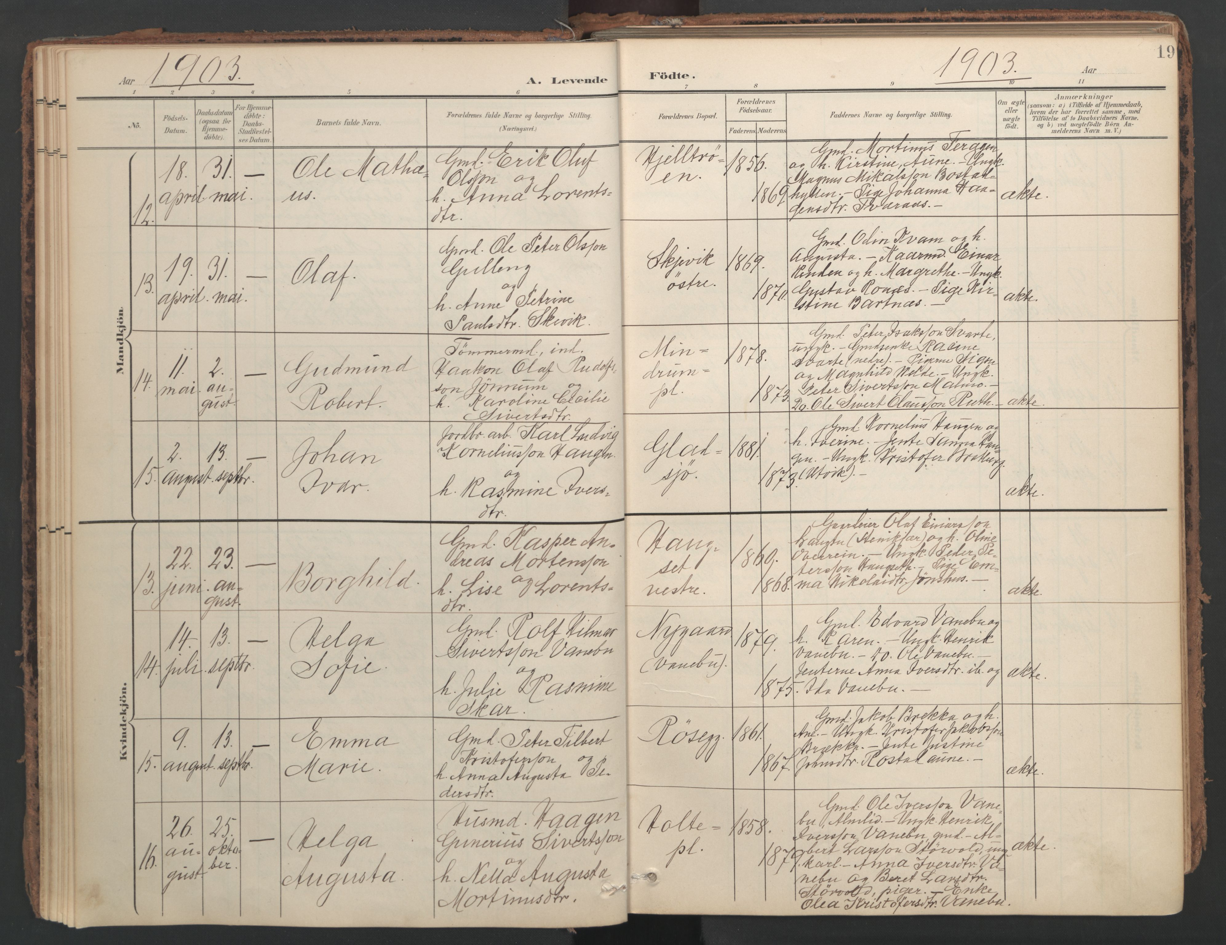 Ministerialprotokoller, klokkerbøker og fødselsregistre - Nord-Trøndelag, SAT/A-1458/741/L0397: Parish register (official) no. 741A11, 1901-1911, p. 19
