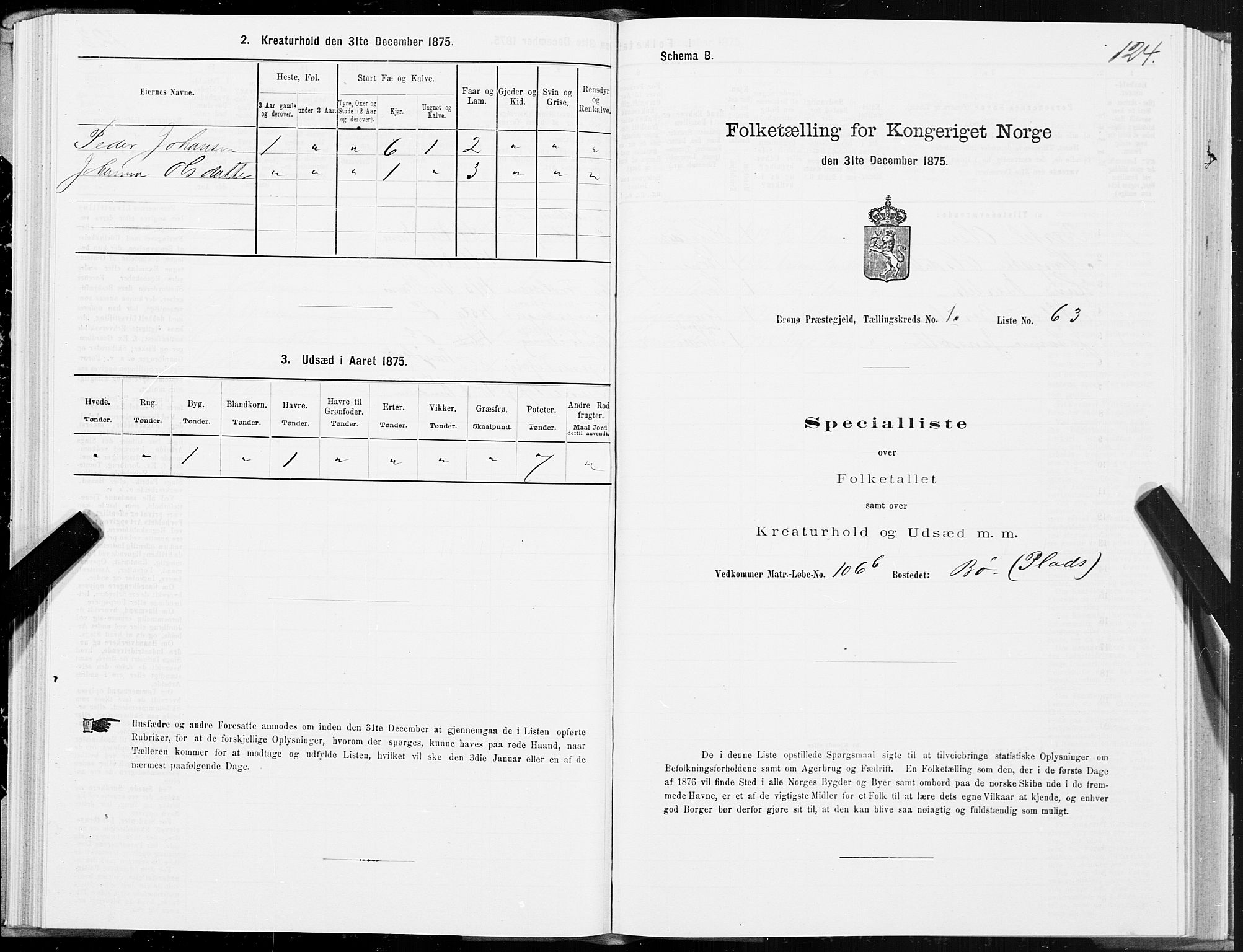 SAT, 1875 census for 1814P Brønnøy, 1875, p. 1124