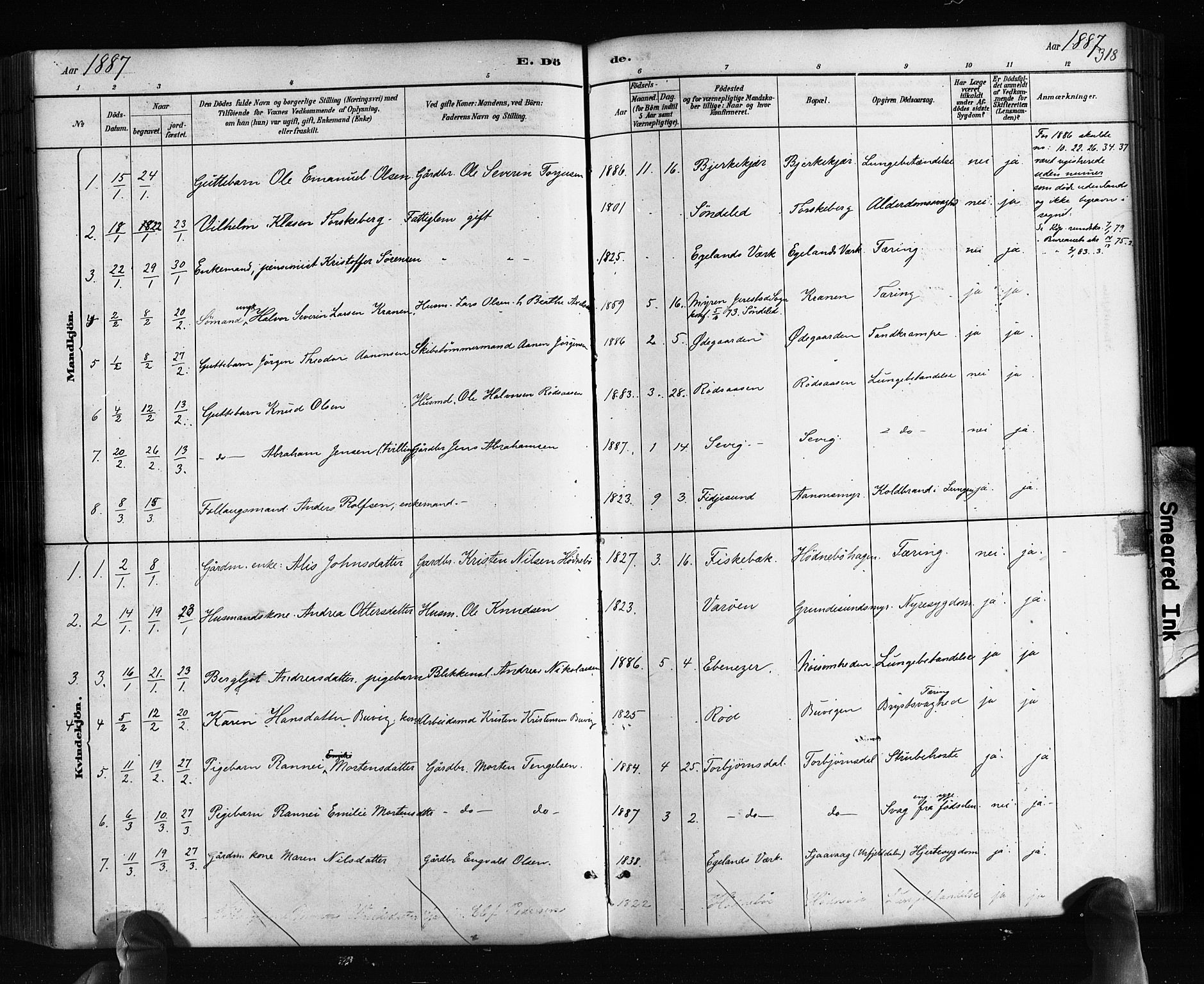 Søndeled sokneprestkontor, AV/SAK-1111-0038/F/Fa/L0004: Parish register (official) no. A 4, 1880-1889, p. 318