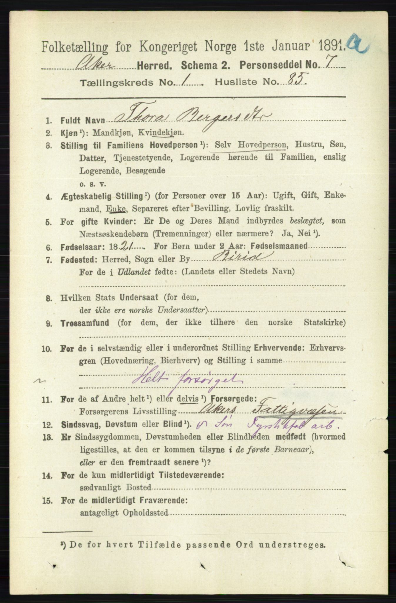 RA, 1891 census for 0218 Aker, 1891, p. 1166