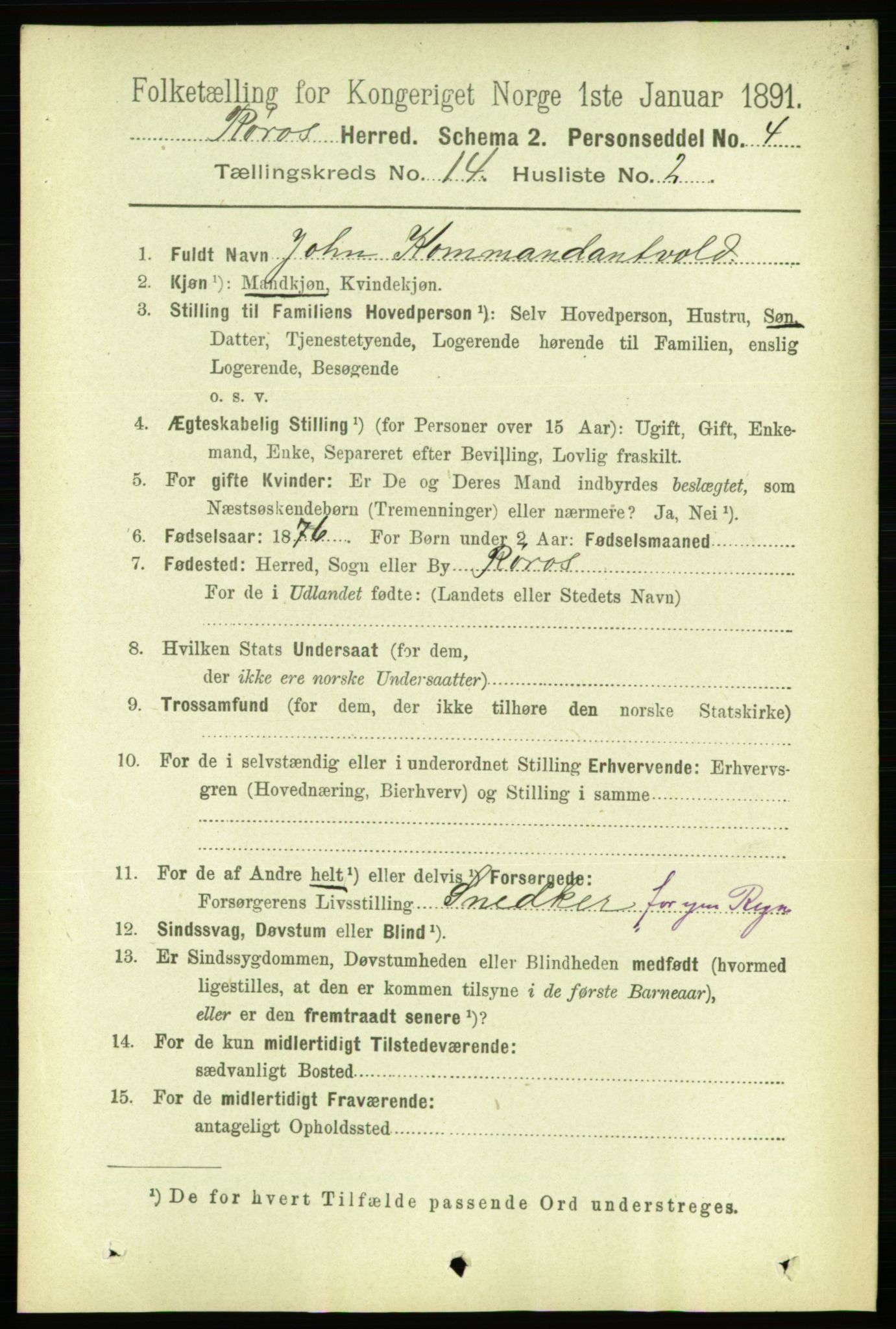 RA, 1891 census for 1640 Røros, 1891, p. 2884