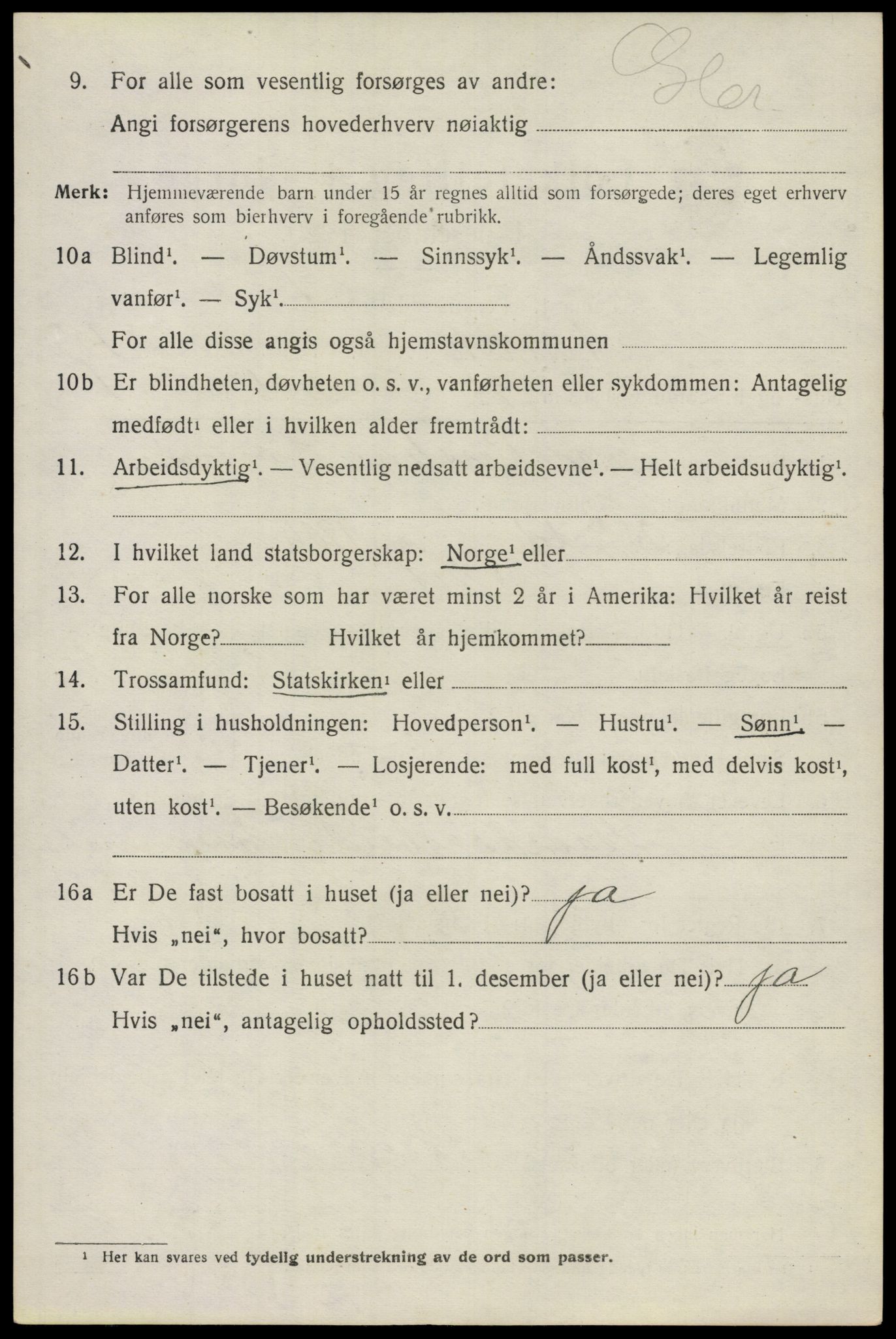 SAO, 1920 census for Nes, 1920, p. 18881