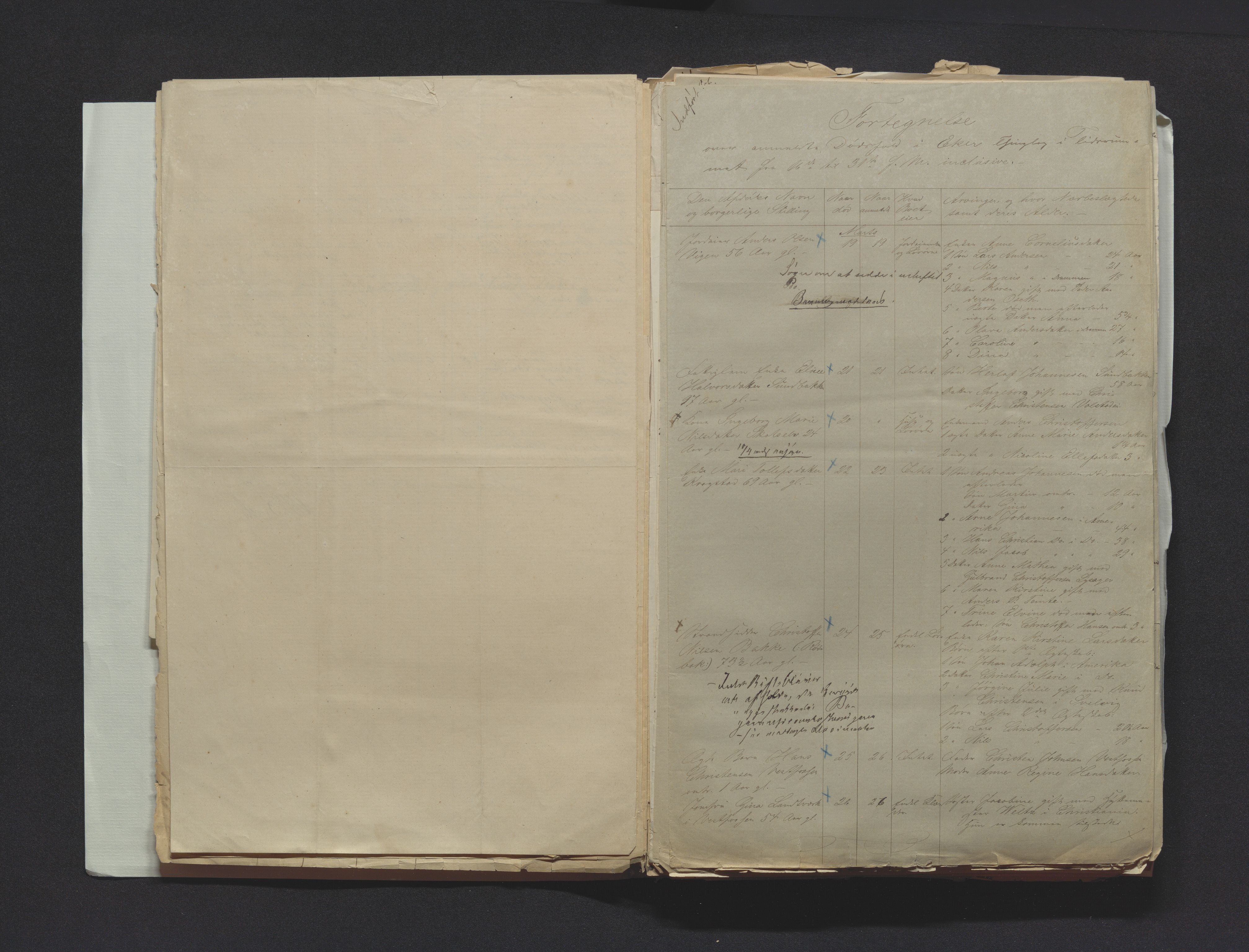 Eiker, Modum og Sigdal sorenskriveri, AV/SAKO-A-123/H/Ha/Hab/L0014: Dødsfallsmeldinger, 1874-1877, p. 13