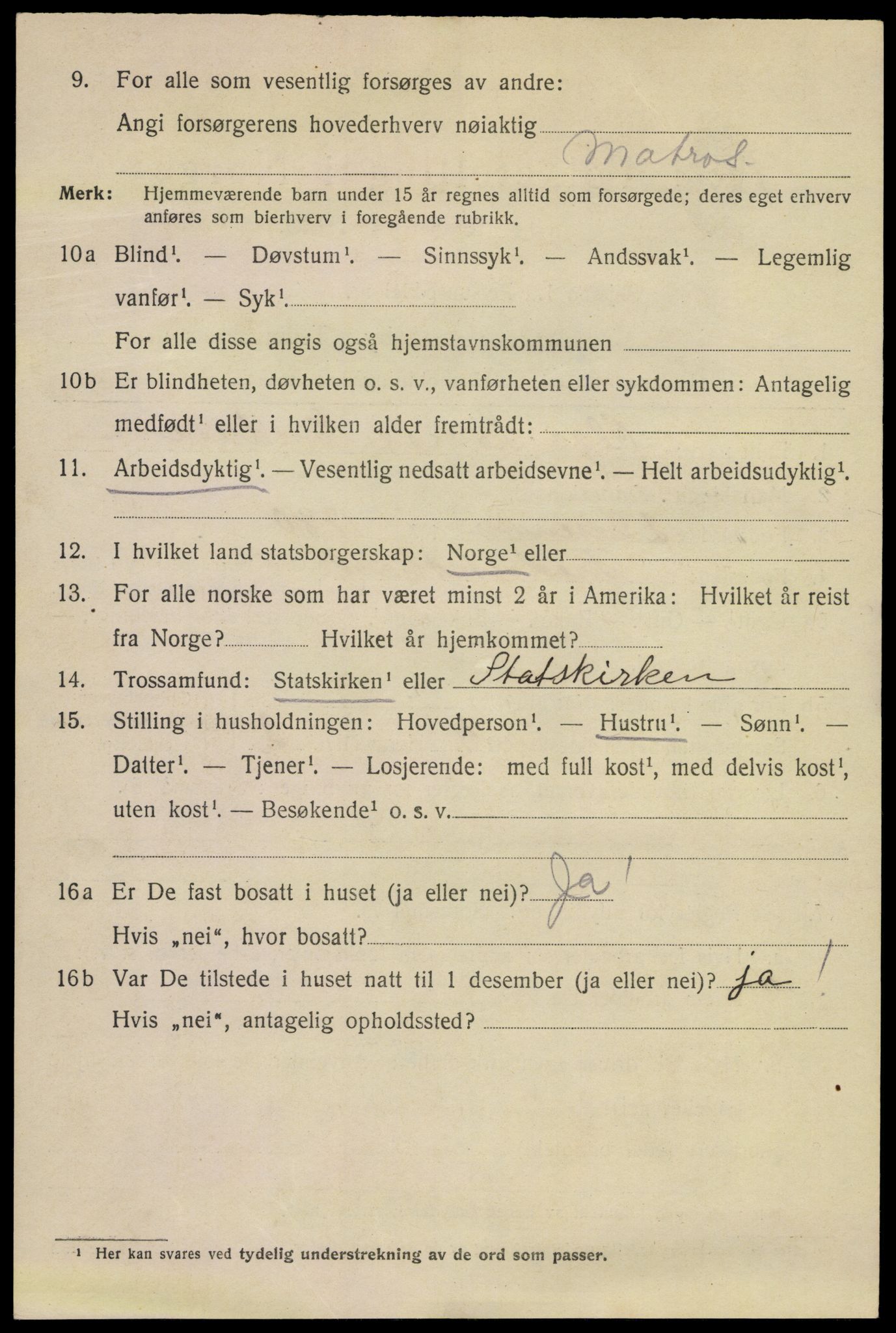 SAKO, 1920 census for Kragerø, 1920, p. 11990