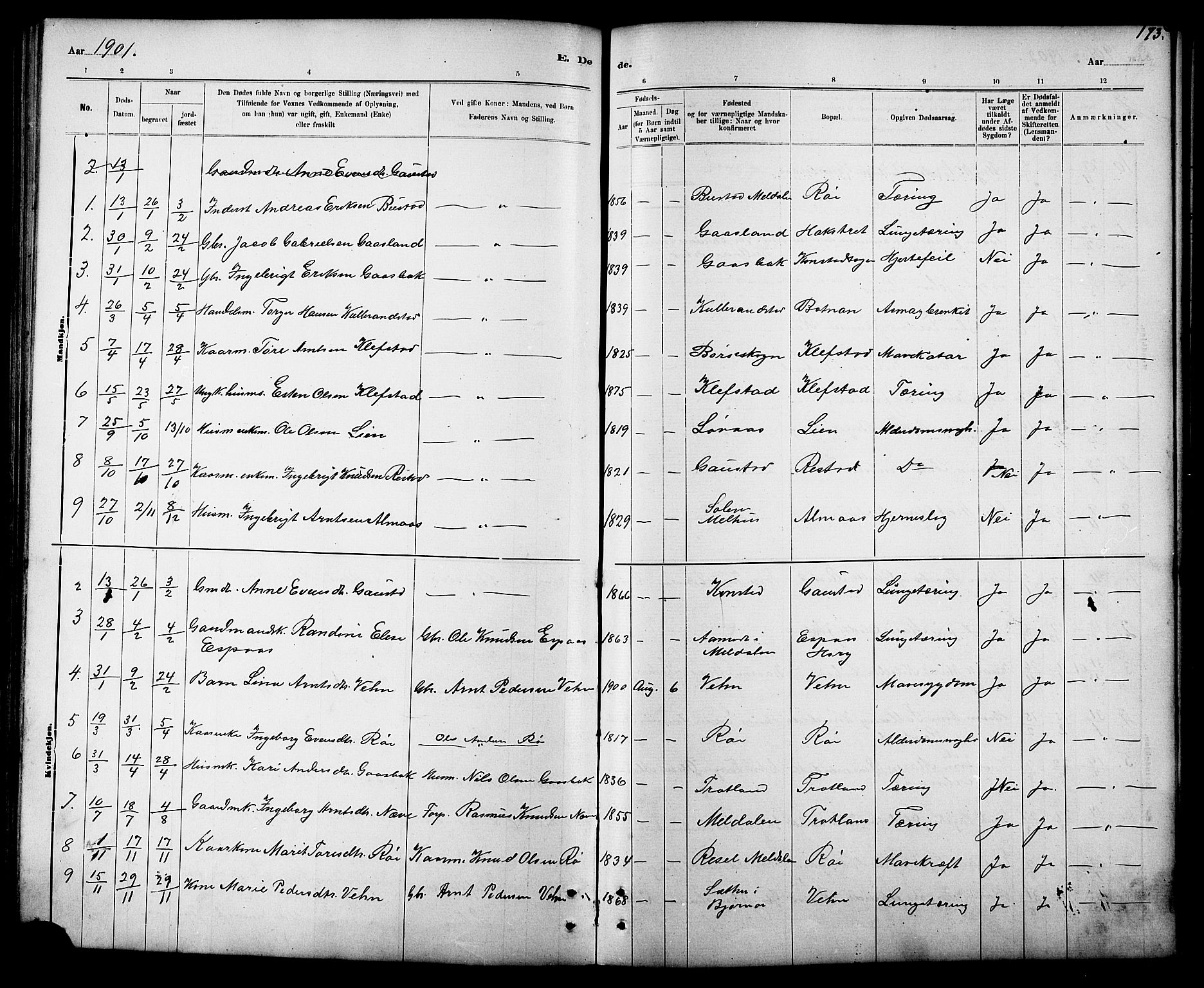 Ministerialprotokoller, klokkerbøker og fødselsregistre - Sør-Trøndelag, AV/SAT-A-1456/694/L1132: Parish register (copy) no. 694C04, 1887-1914, p. 173