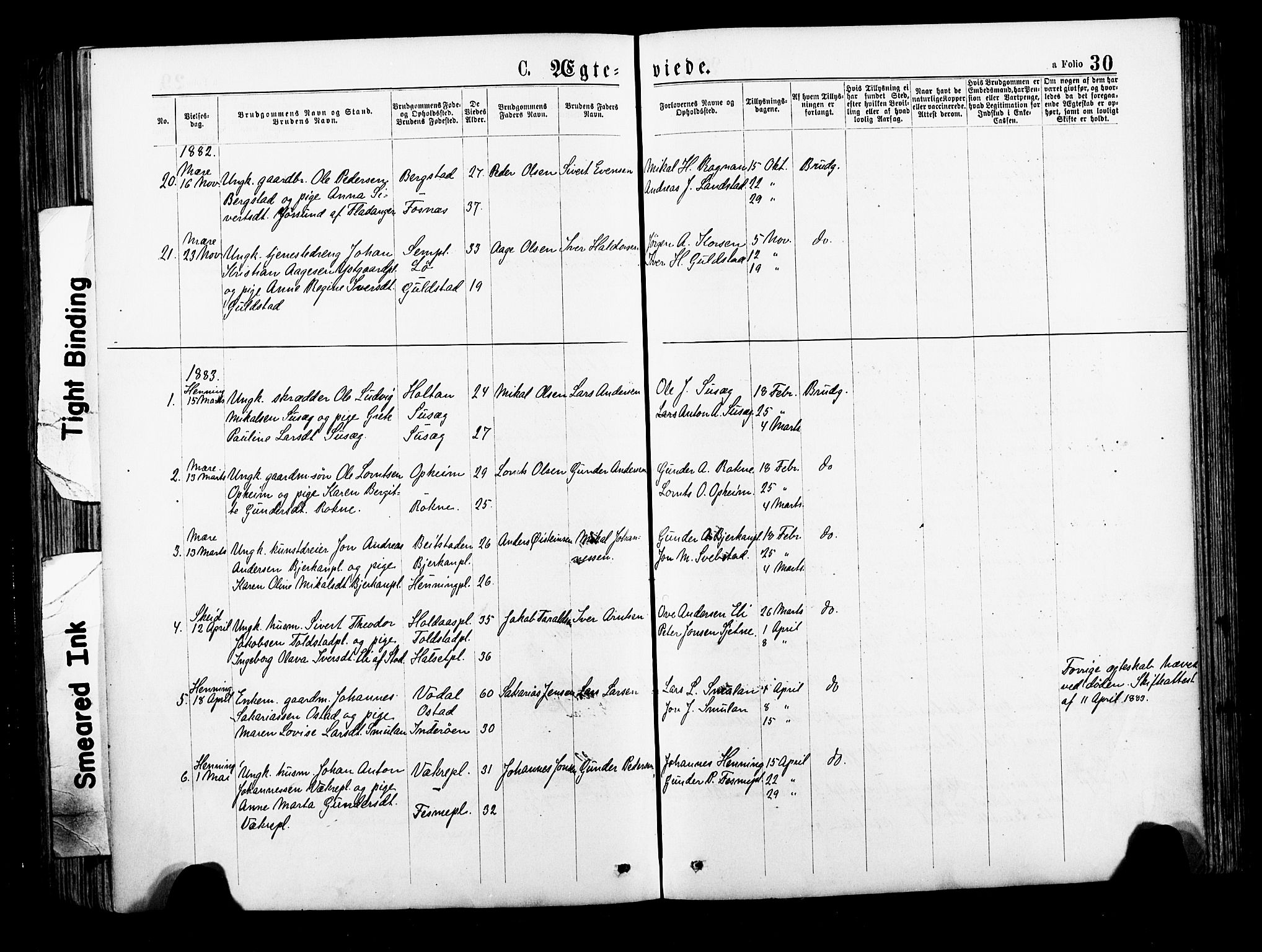 Ministerialprotokoller, klokkerbøker og fødselsregistre - Nord-Trøndelag, AV/SAT-A-1458/735/L0348: Parish register (official) no. 735A09 /1, 1873-1883, p. 30