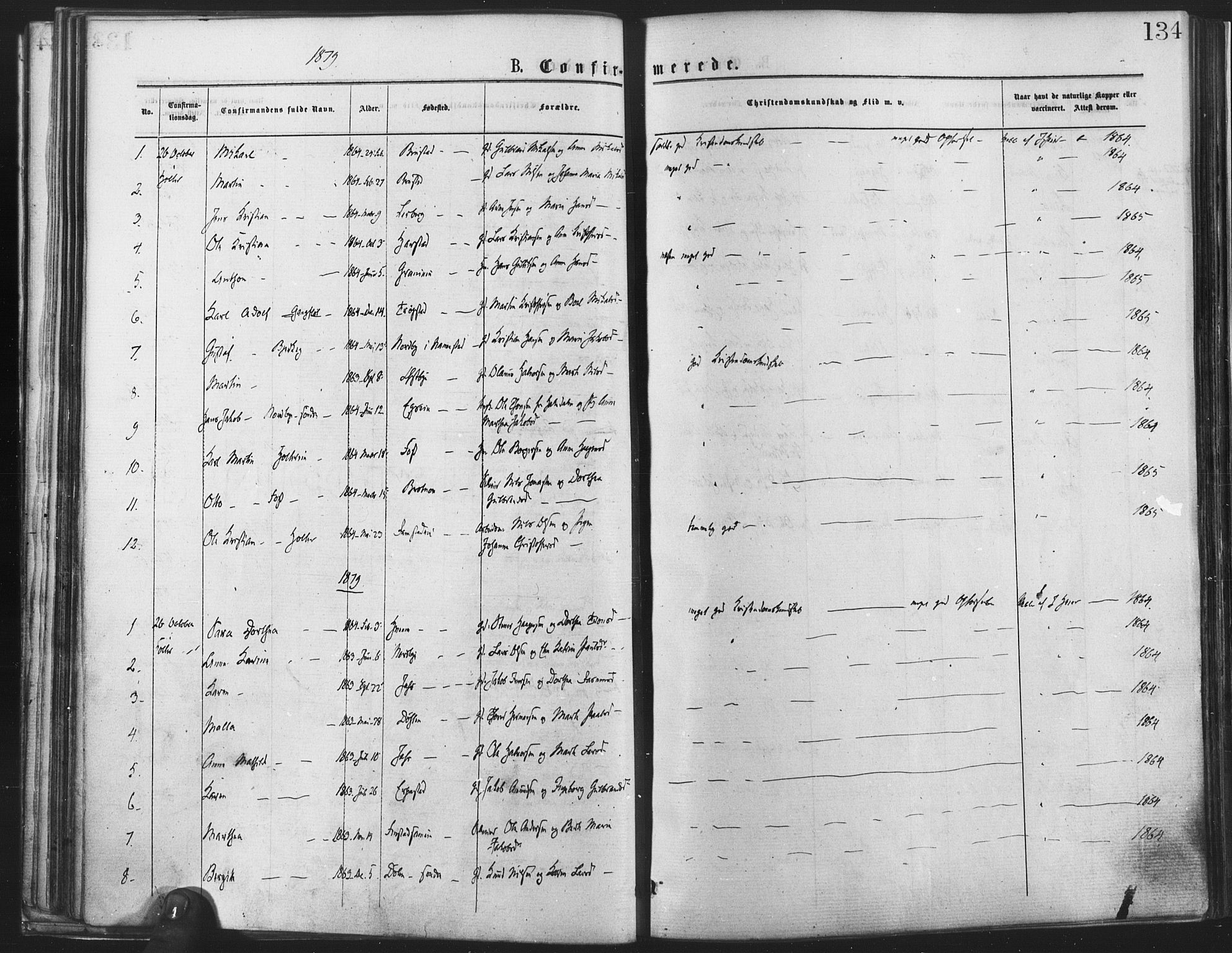 Nannestad prestekontor Kirkebøker, SAO/A-10414a/F/Fa/L0013: Parish register (official) no. I 13, 1873-1880, p. 134