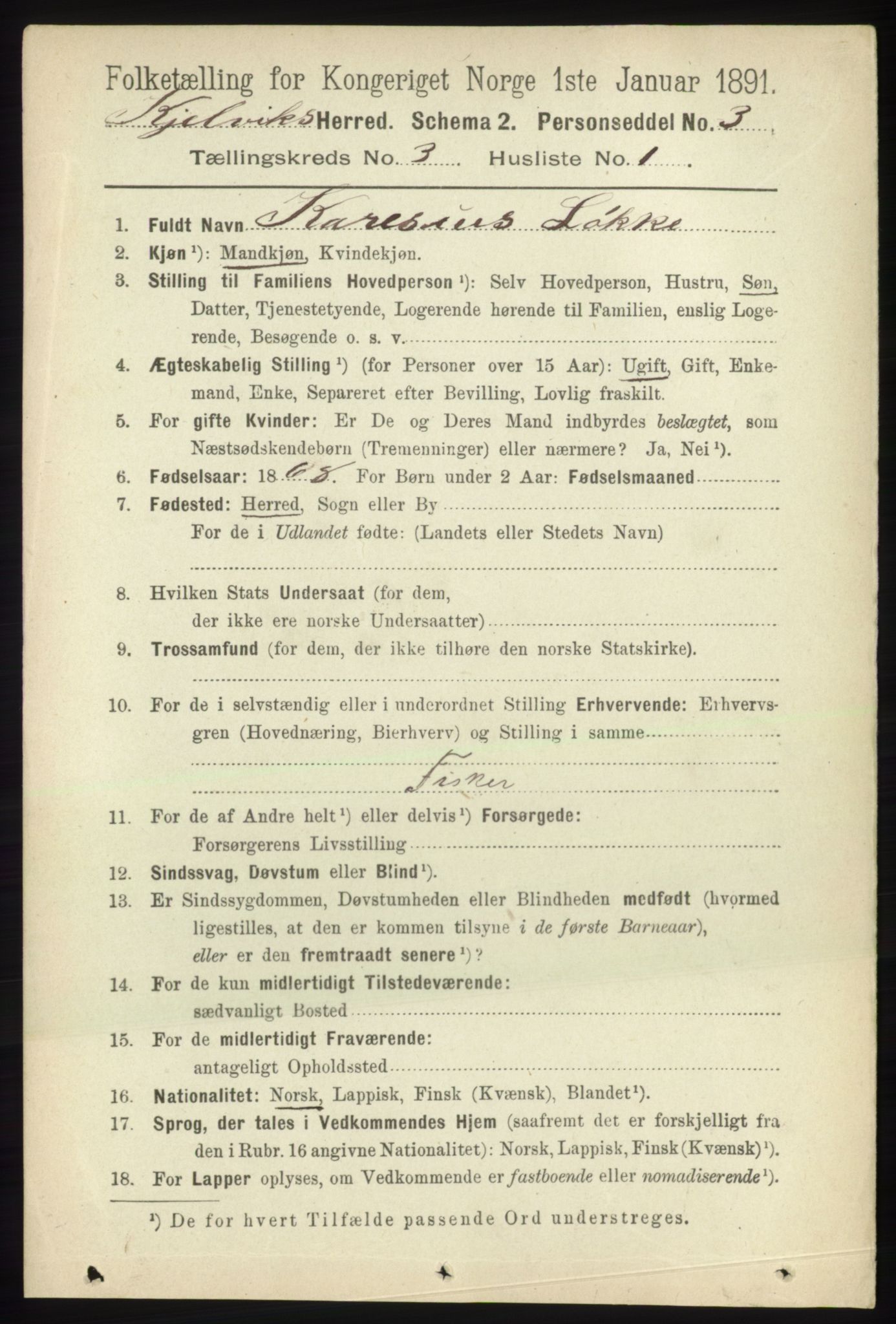 RA, 1891 census for 2019 Kjelvik, 1891, p. 248