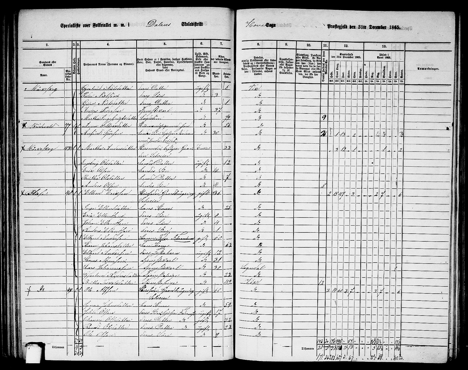 RA, 1865 census for Vik, 1865, p. 63