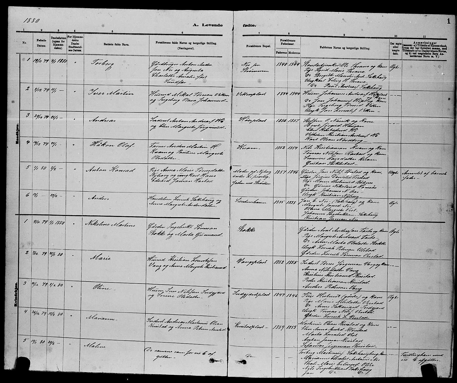 Ministerialprotokoller, klokkerbøker og fødselsregistre - Nord-Trøndelag, AV/SAT-A-1458/730/L0301: Parish register (copy) no. 730C04, 1880-1897, p. 1