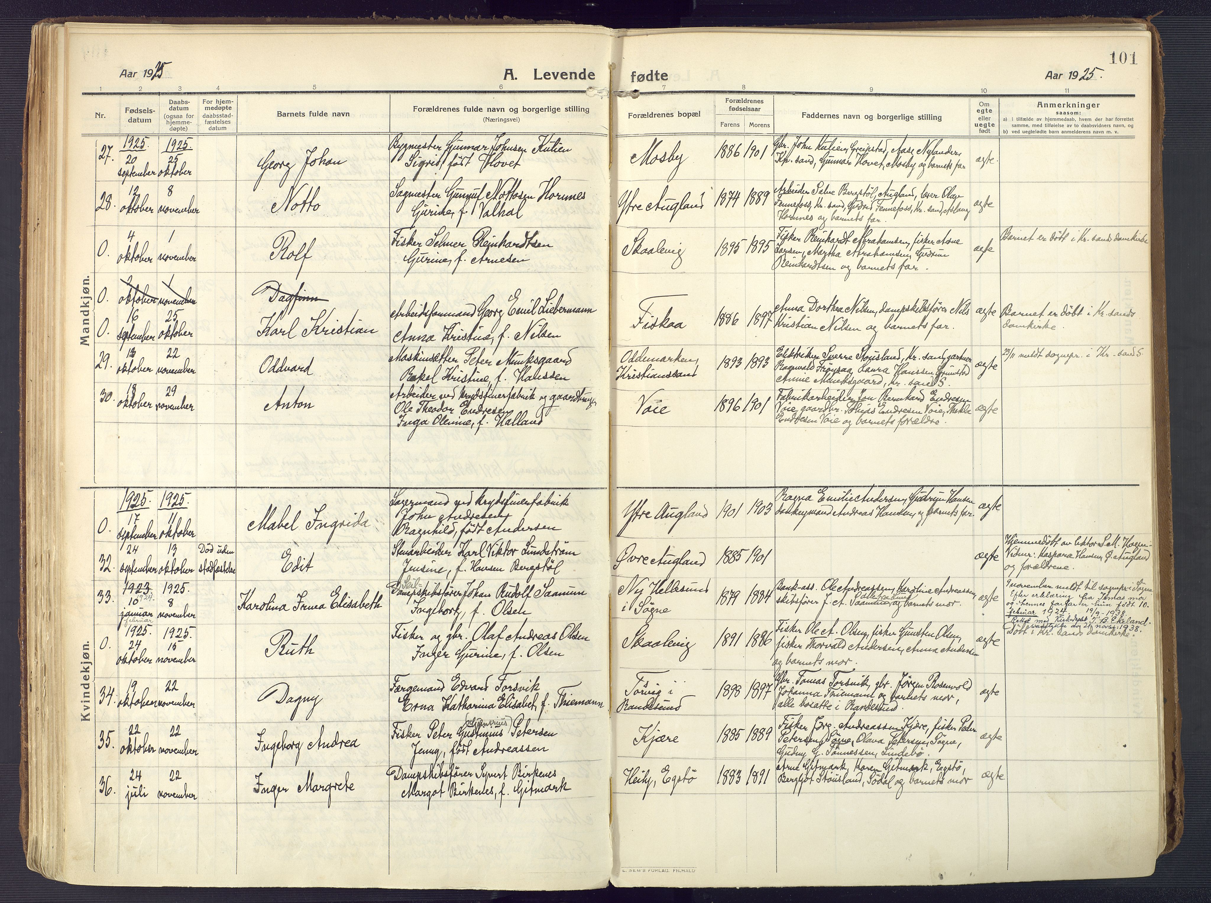 Oddernes sokneprestkontor, AV/SAK-1111-0033/F/Fa/Faa/L0012: Parish register (official) no. A 12, 1912-1925, p. 101