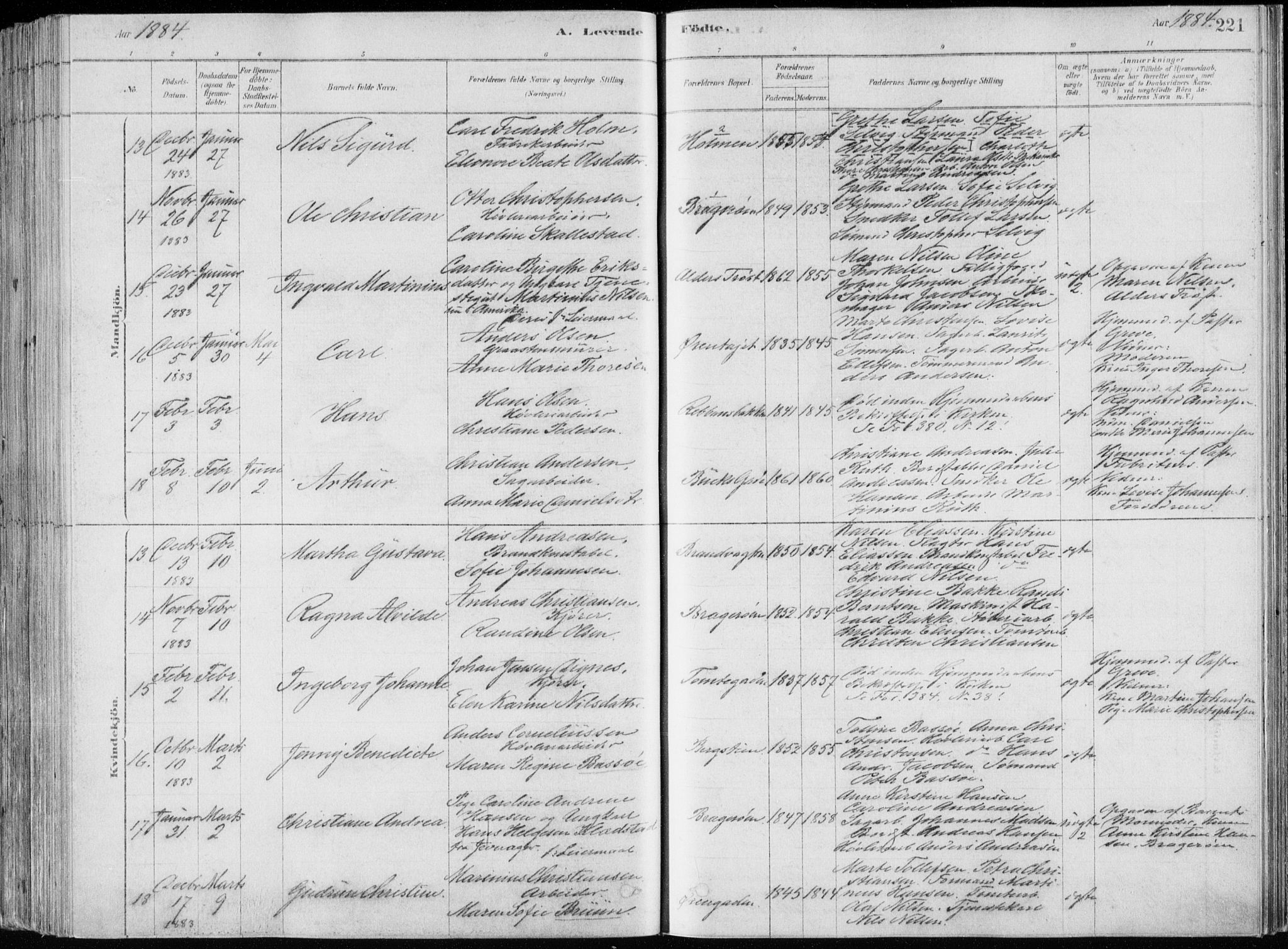 Bragernes kirkebøker, SAKO/A-6/F/Fb/L0006a: Parish register (official) no. II 6A, 1878-1885, p. 221