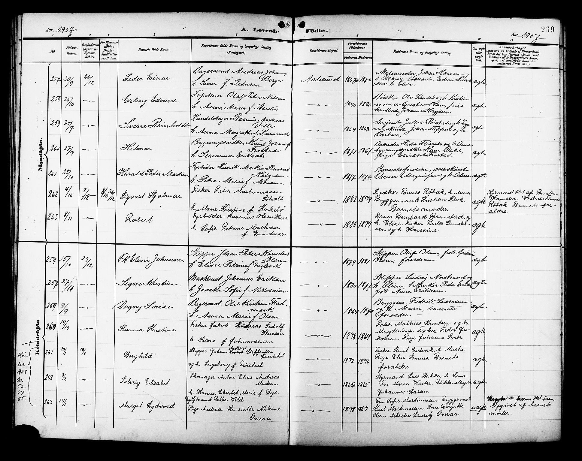 Ministerialprotokoller, klokkerbøker og fødselsregistre - Møre og Romsdal, AV/SAT-A-1454/529/L0468: Parish register (copy) no. 529C05, 1897-1908, p. 269