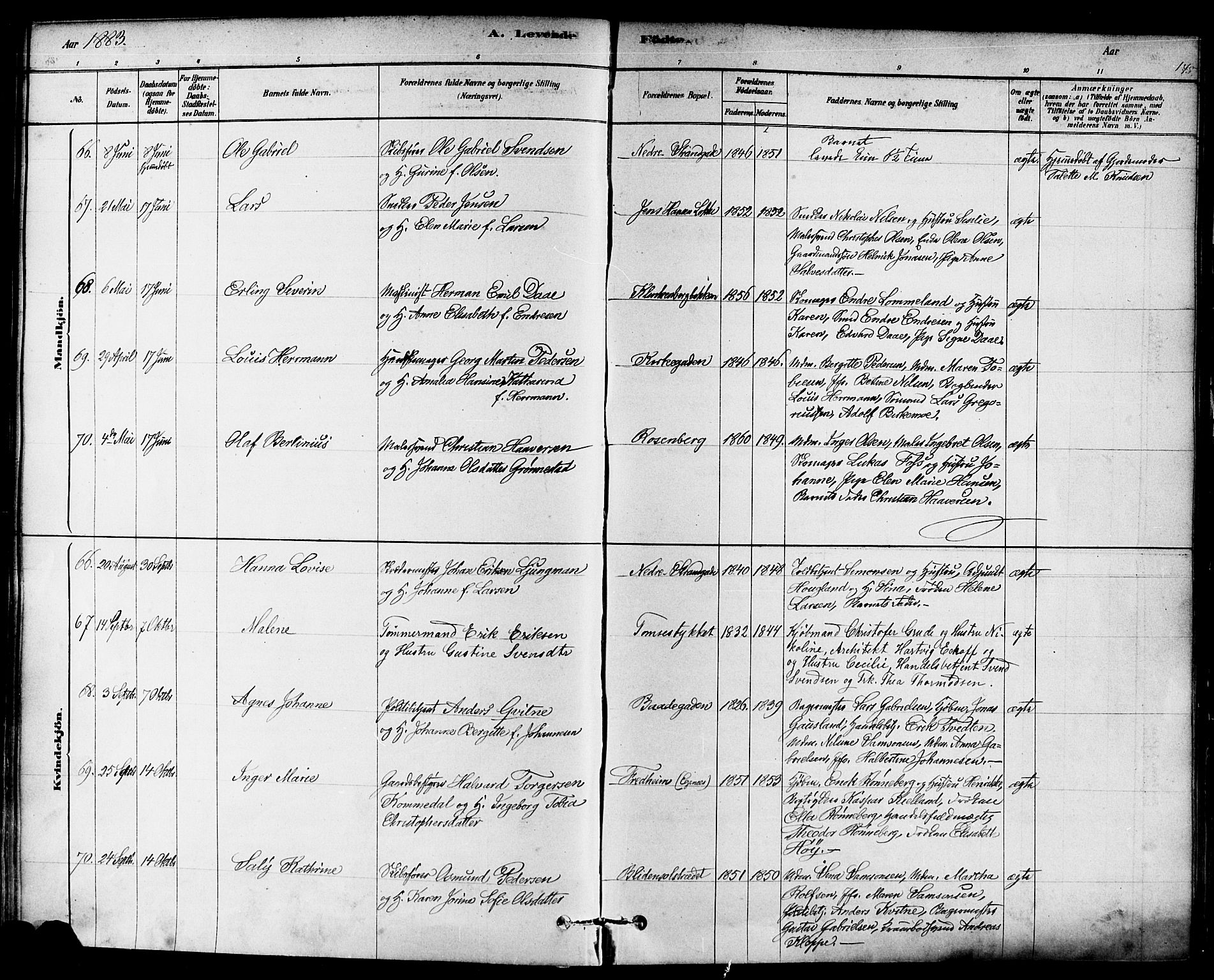 Domkirken sokneprestkontor, SAST/A-101812/001/30/30BA/L0026: Parish register (official) no. A 25, 1878-1889, p. 145