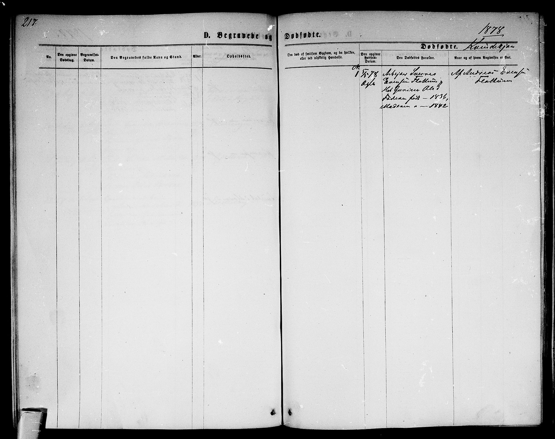 Modum kirkebøker, AV/SAKO-A-234/G/Ga/L0007: Parish register (copy) no. I 7, 1869-1878, p. 217