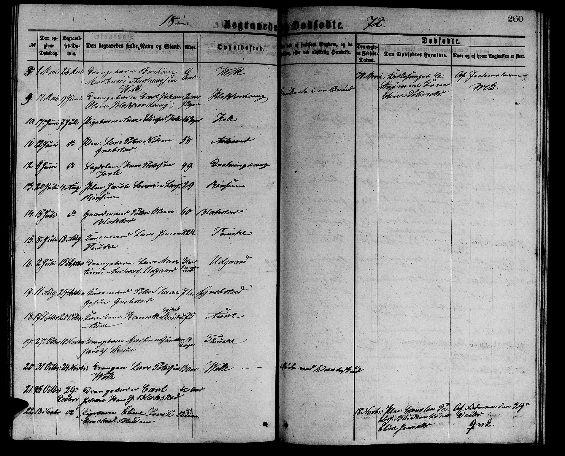 Ministerialprotokoller, klokkerbøker og fødselsregistre - Møre og Romsdal, AV/SAT-A-1454/523/L0338: Parish register (copy) no. 523C01, 1865-1877, p. 260