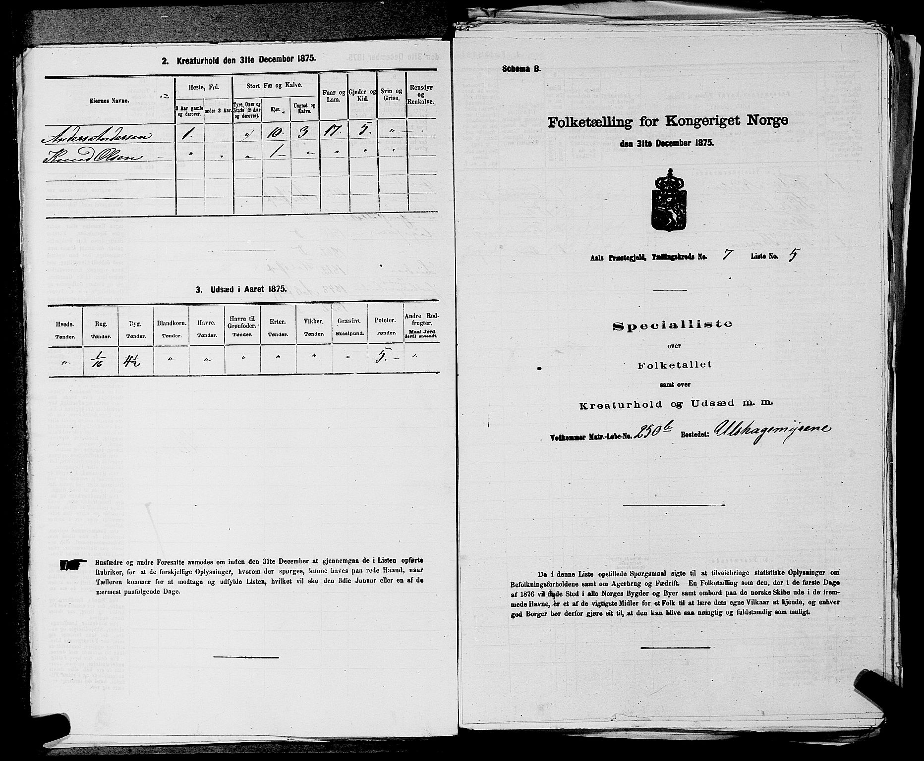 SAKO, 1875 census for 0619P Ål, 1875, p. 844