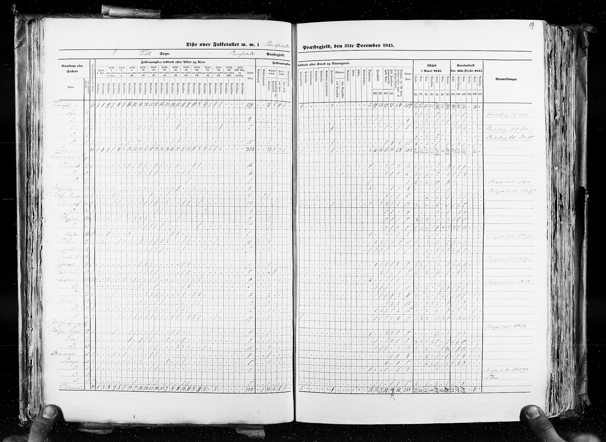 RA, Census 1845, vol. 4: Buskerud amt og Jarlsberg og Larvik amt, 1845, p. 98