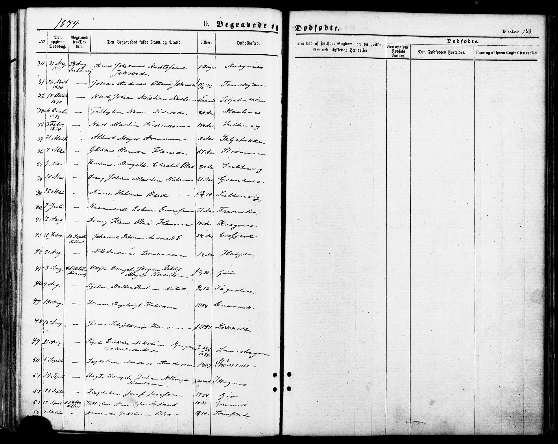 Lenvik sokneprestembete, AV/SATØ-S-1310/H/Ha/Haa/L0010kirke: Parish register (official) no. 10, 1873-1880, p. 173