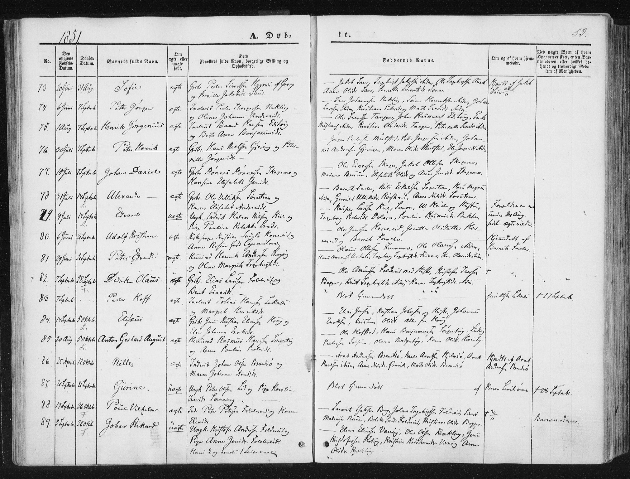 Ministerialprotokoller, klokkerbøker og fødselsregistre - Nord-Trøndelag, SAT/A-1458/780/L0640: Parish register (official) no. 780A05, 1845-1856, p. 53