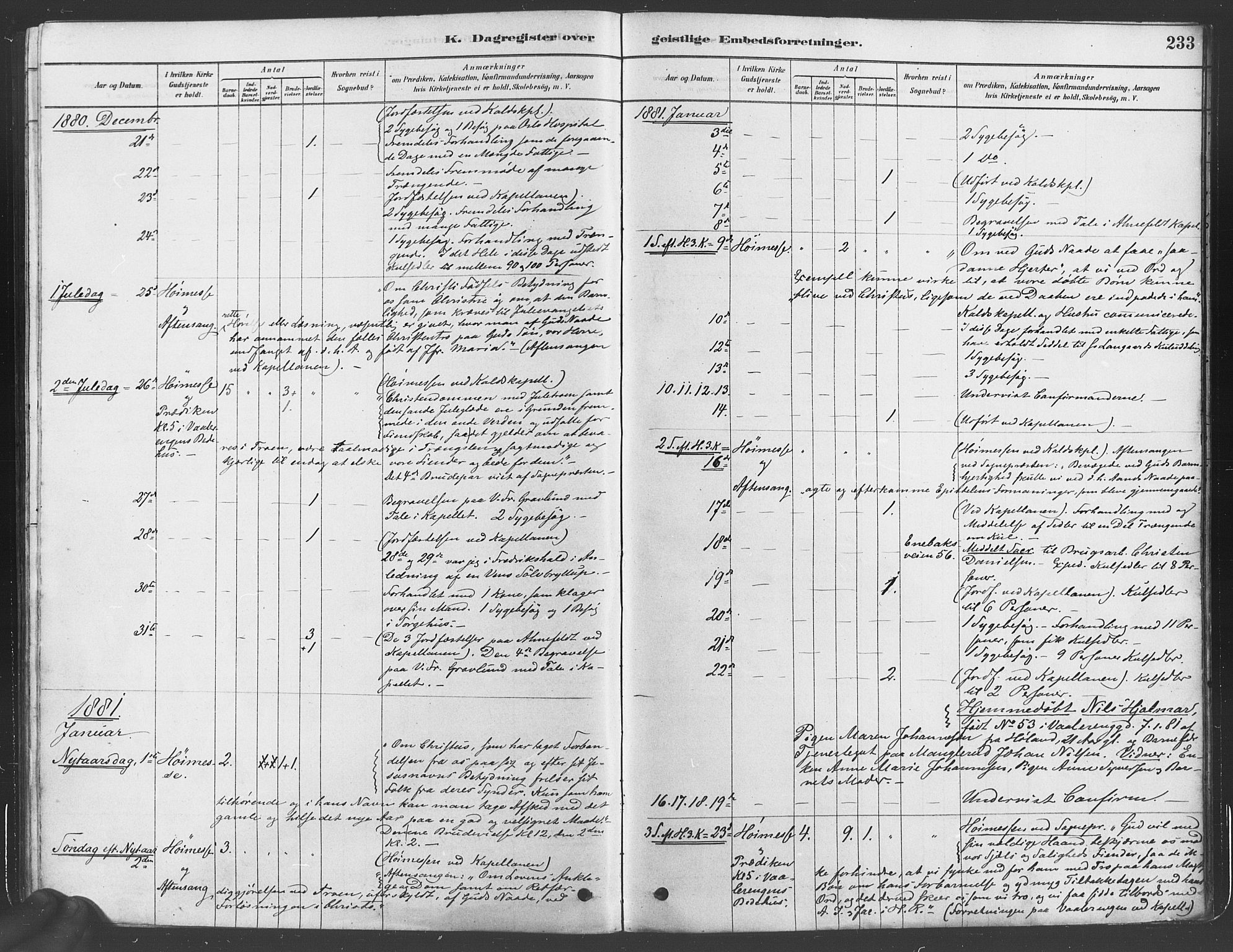 Gamlebyen prestekontor Kirkebøker, SAO/A-10884/F/Fa/L0005: Parish register (official) no. 5, 1878-1889, p. 233