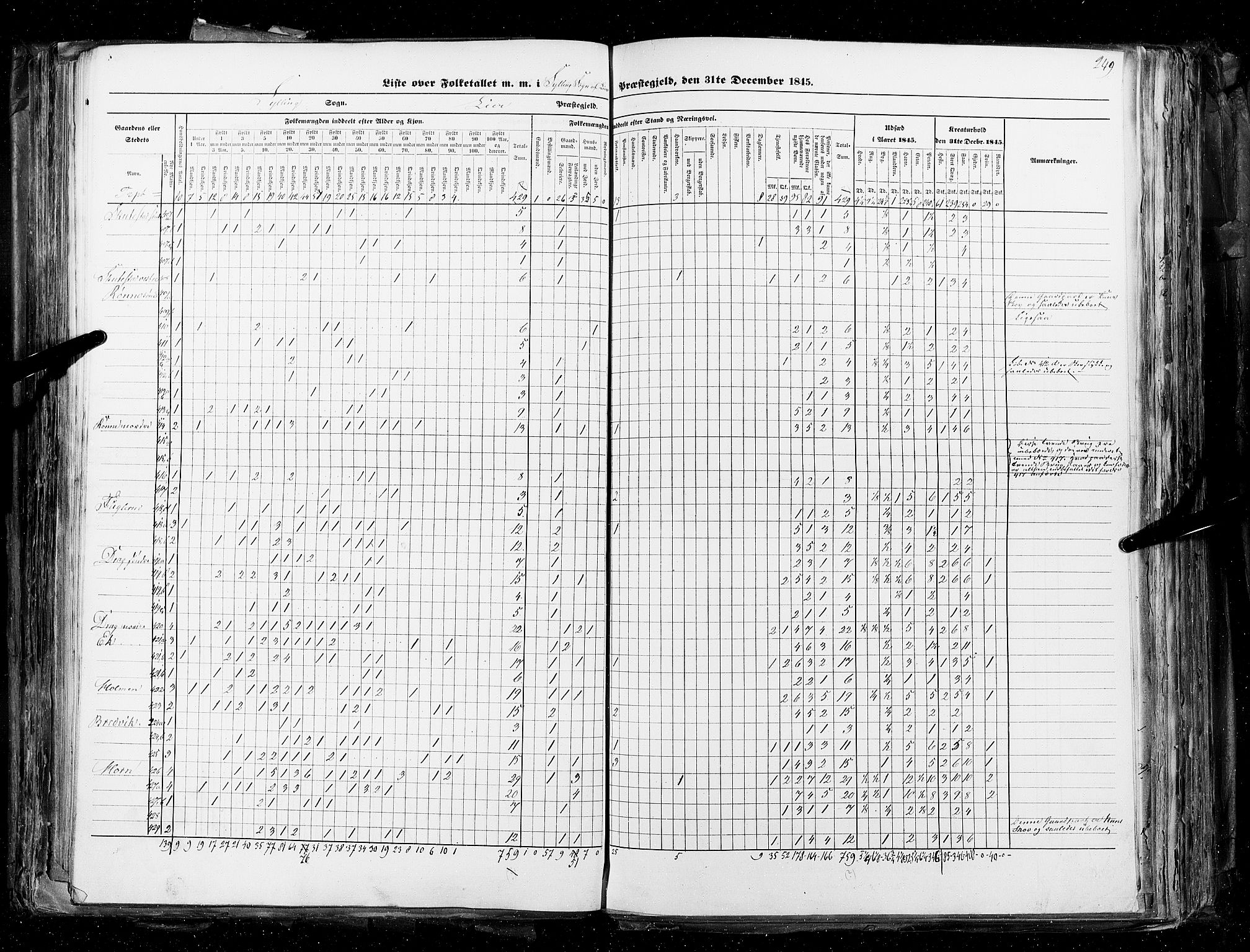 RA, Census 1845, vol. 4: Buskerud amt og Jarlsberg og Larvik amt, 1845, p. 249