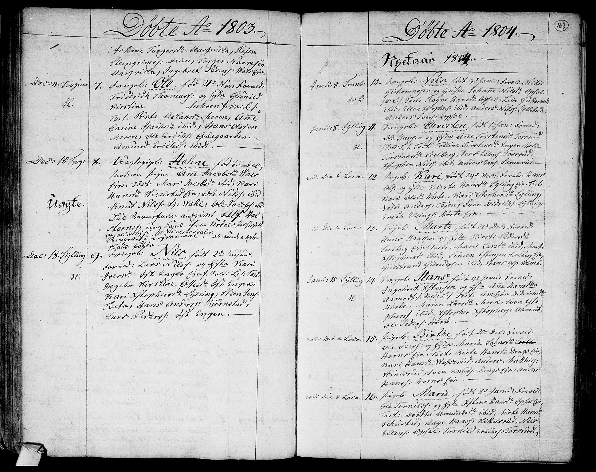 Lier kirkebøker, SAKO/A-230/F/Fa/L0007: Parish register (official) no. I 7, 1794-1813, p. 163