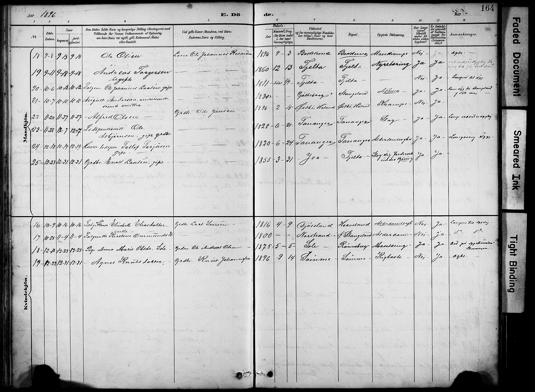 Håland sokneprestkontor, SAST/A-101802/001/30BA/L0012: Parish register (official) no. A 11, 1889-1900, p. 164