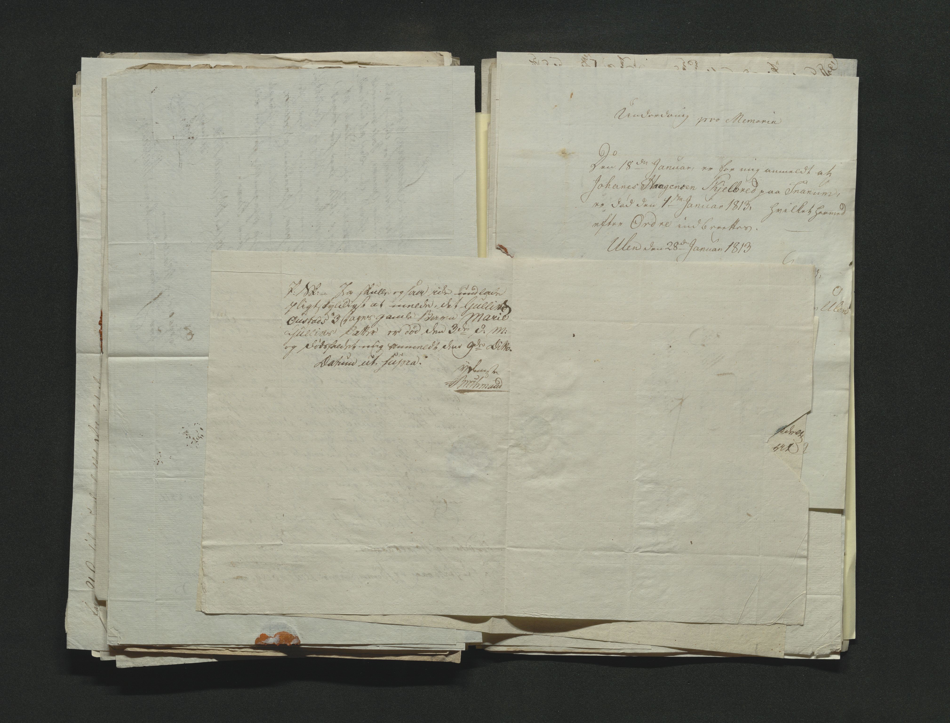 Eiker, Modum og Sigdal sorenskriveri, AV/SAKO-A-123/H/Ha/Hab/L0001: Dødsfallsmeldinger, 1812-1822, p. 101