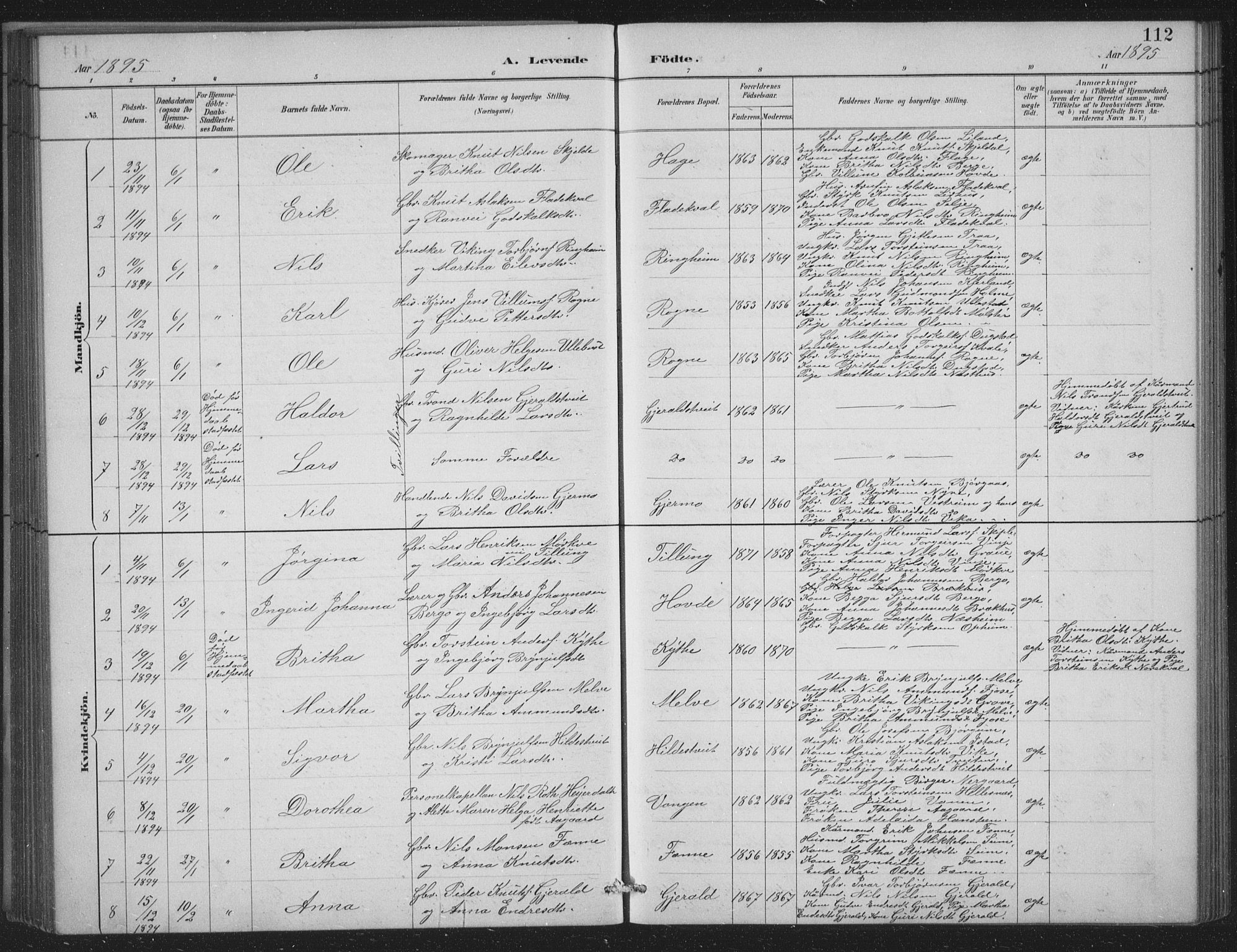 Voss sokneprestembete, AV/SAB-A-79001/H/Hab: Parish register (copy) no. C 1, 1886-1899, p. 112